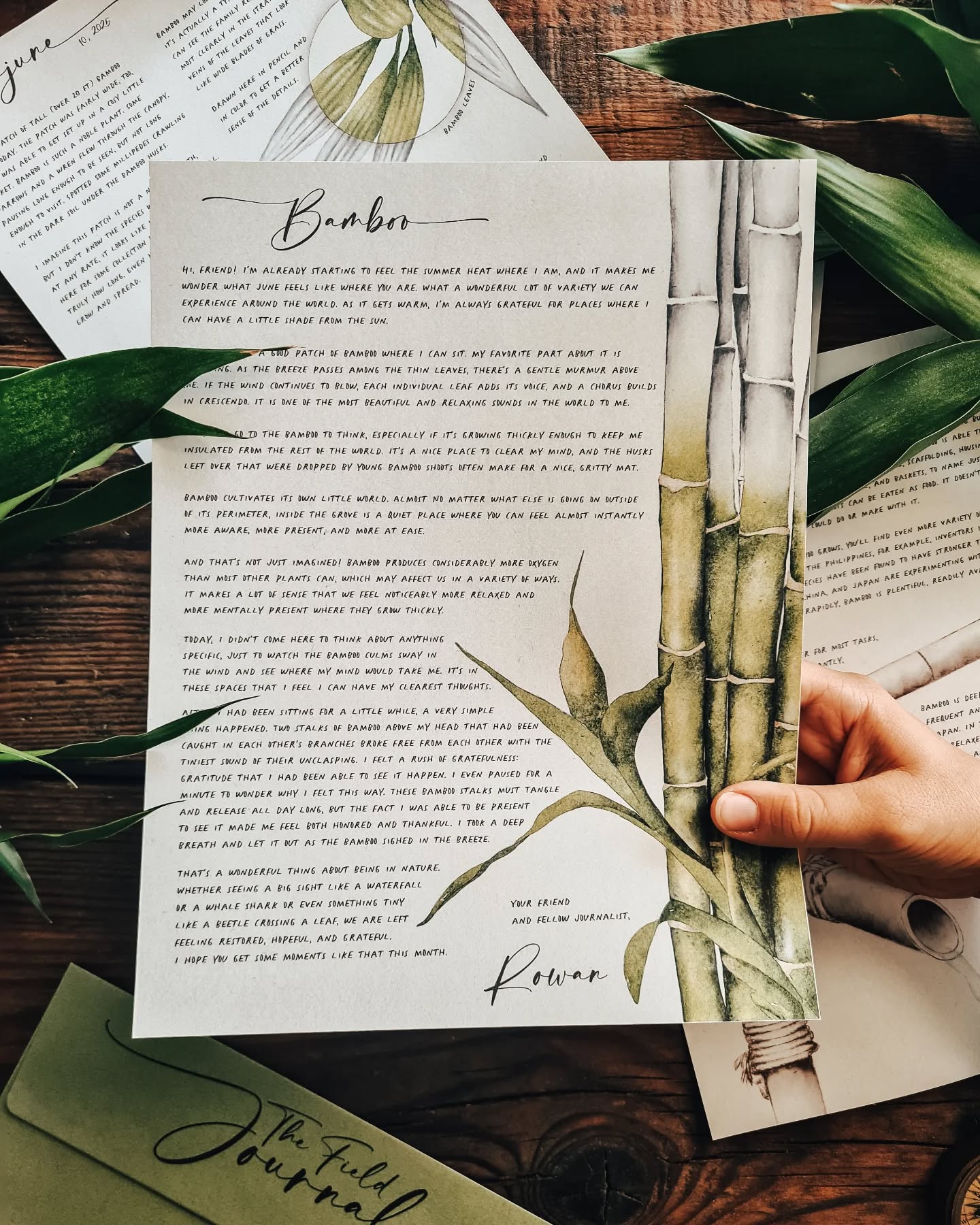 In June, The Field Journals goes in seek of some shade from the sun and ends up in a bamboo patch.
Find out all of the fascinating details about this truly remarkable plant, its relationship with its own ecosystem, and the wide variety of ways people have been able to use it across centuries and continents.
Check out @thefieldjournals to subscribe!
#naturejournal #summerhomeschool #wherethewildthingsare