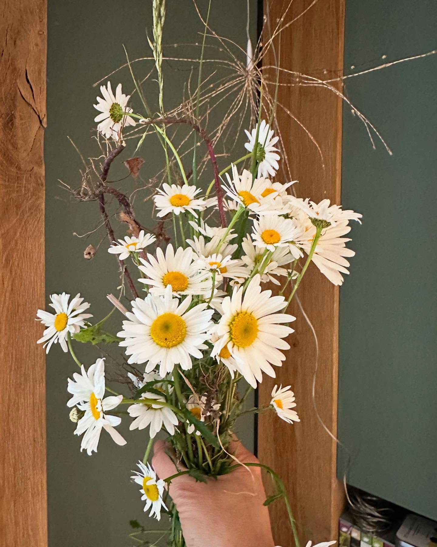 Ox eye daisy love! 🤗☀️🌼
These beauties are everywhere at the moment, great for wildlife, great in a vase and perfect for our real flower serving trays….(watch this space they’re coming back!!!! 🥳)