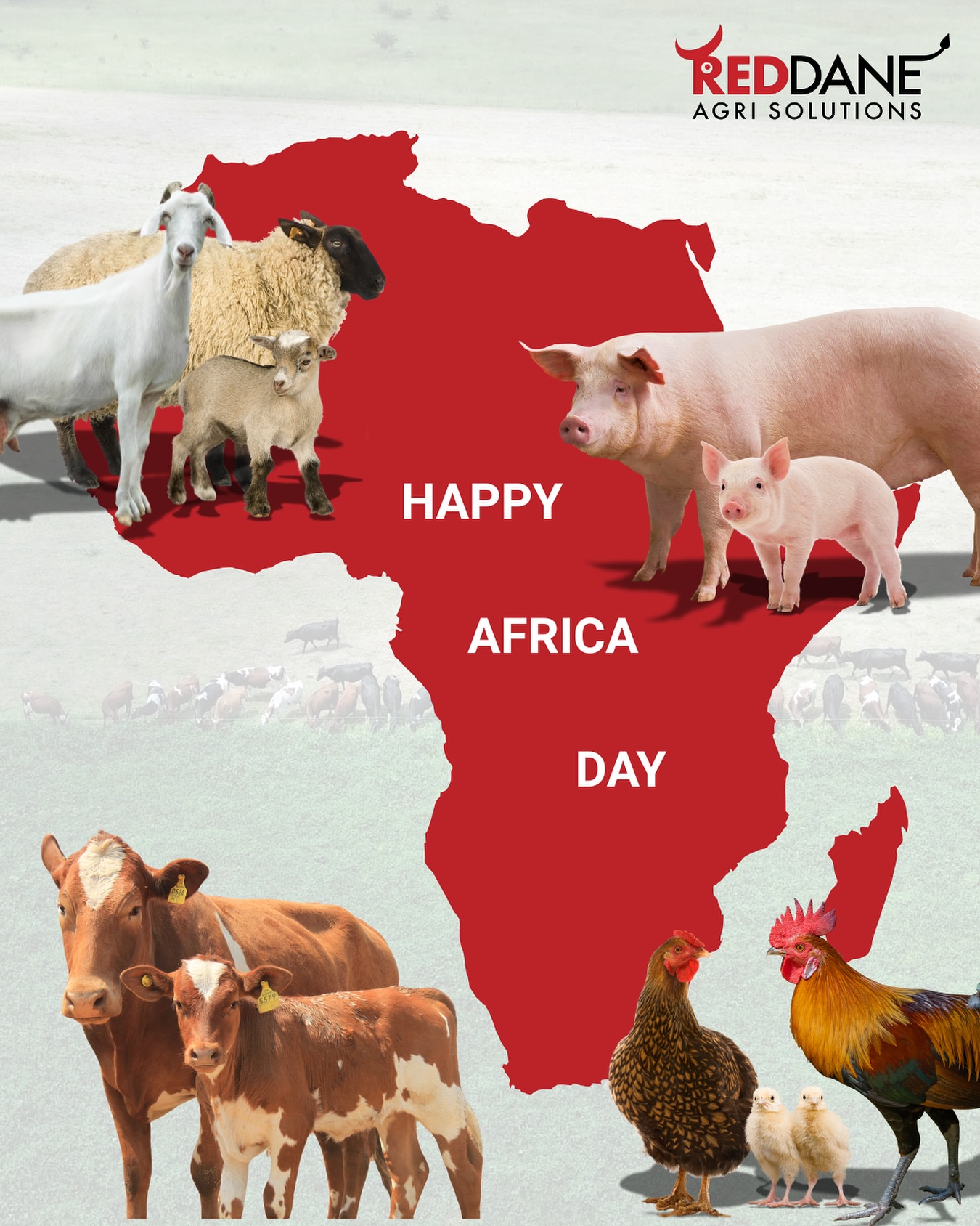 So proud to be growing our industry in this magnificent continent every day. Happy Africa Day ♥️
#africaisthefuture #africaday #wearelivestock