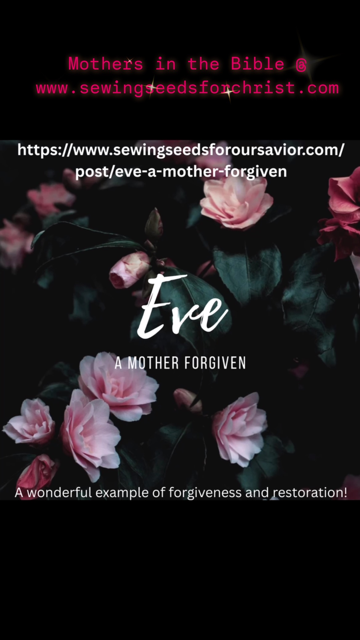 Mothers in the Bible blog at www.sewingseedsforoursavior.com
#godisgood, #spiritualgrowth #sewingseedsforoursavior