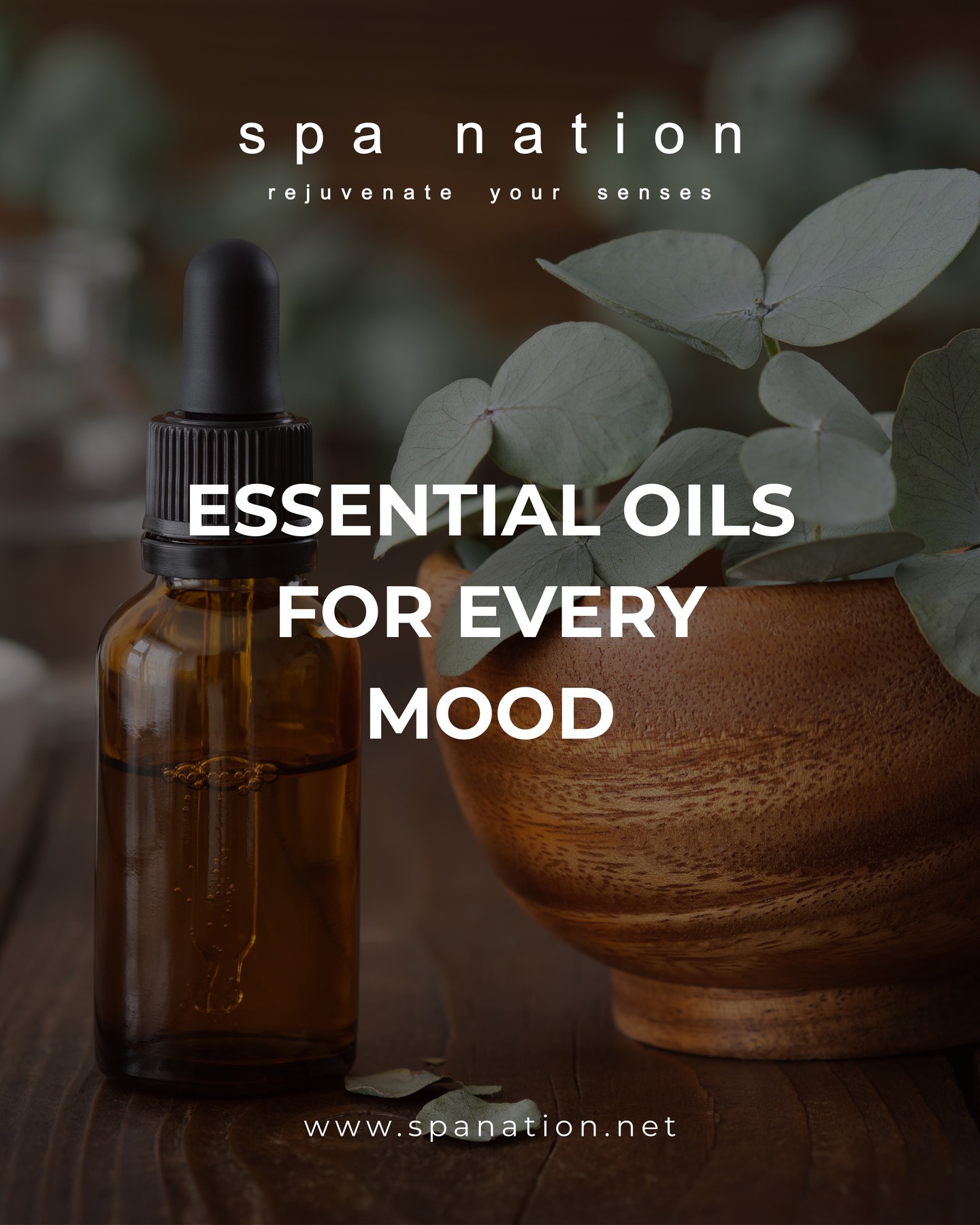 Feeling a little down? Need a boost of energy? ✨ There's an essential oil for every mood! We love incorporating them into our treatments for a truly holistic experience.
📍 Experience the power of essential oils at:
Bengaluru
Phoenix Mall: +91 9591075687
Orion Mall: +91 9538878687
Indiranagar: +91 8296387786
Ludhiana
Pavilion Mall: +91 9501078687
🌐 www.spanation.net
#EssentialOils #Aromatherapy #MoodBooster #EmotionalWellness #NaturalRemedies #SpanNation #SelfCare #WellnessJourney