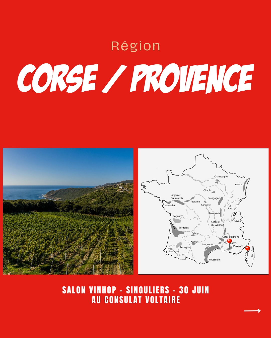 À la rencontre des vignerons de Corse et de Provence.
@juliencastell
@chateaurevelette
@domaine.santamaria
@domainecomteabbatucci
Venez les découvrir lors de notre salon SINGULIERS, où plus de 90 vignerons seront présents.
📍Le Consulat Paris 11ème
📆 30 juin 2025
‼️Réservé aux professionnels - lien d’inscription en bio