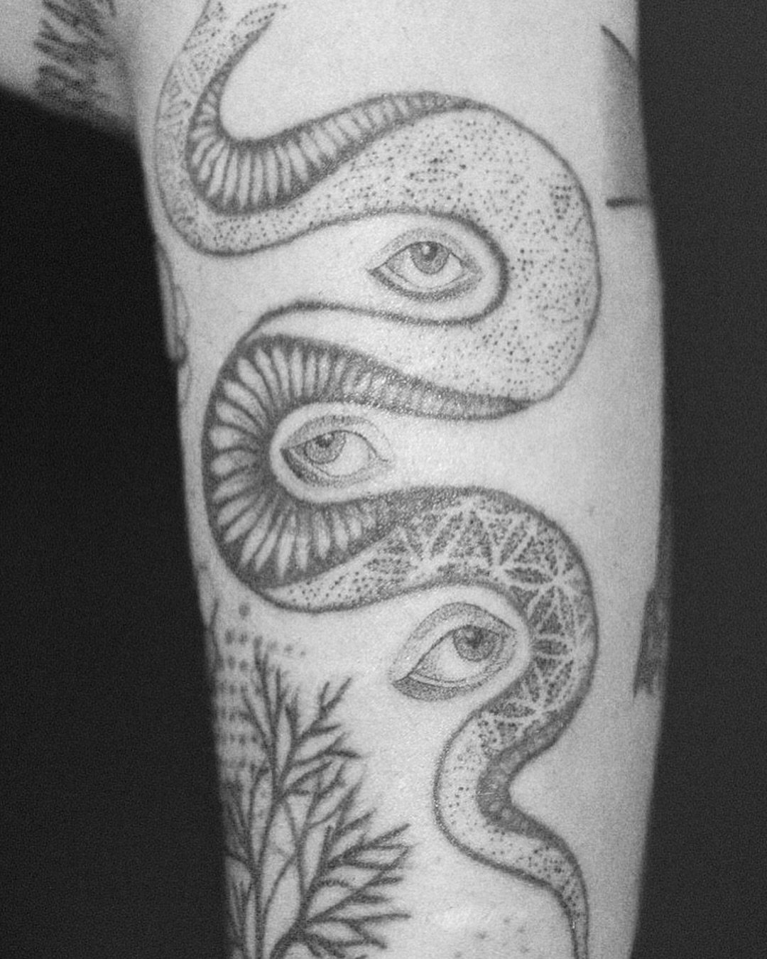 zwinker zwinker (ringsherum nicht von mir + abgeheilt)
merci lou
#eyetattoo
#eyestattos
#allseeingeye
#eyegapfiller
#gapfillertattoo
#tattoofiller
#sleevefiller
#witchytattoo
#occulttattoo
#surrealismtattoo
#dotworktattoo
#lineworktattoo
#blackworktattoo
#handpoketattoo
#handpokedtattoo
#handpokeartist
#finelinetattoo
#microtattoo
#minimalink
#tattoodesign
#rosepokes
#studioknuts
#weimartattoo
#erfurttattoo
#jenatattoo
