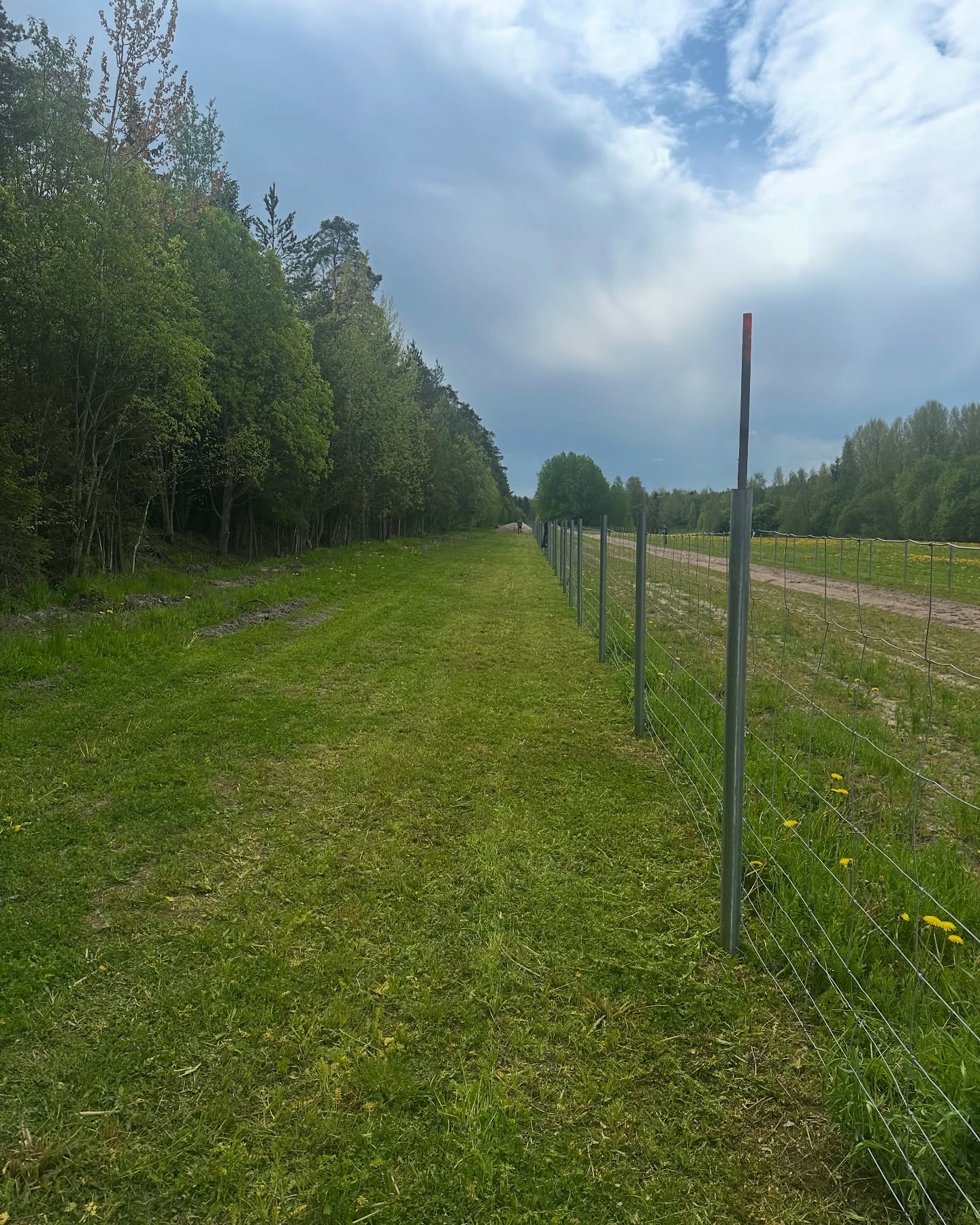 Tänään talkoiltu pienellä porukalla.. suoran aidan vierustaa siistitty, oksia silputtu, parkkipaikalta nurmikko leikattu, muutama tolppa laitettu paikalleen, ojia putsattu ja paikka merkattu virlingille
#ssvk #salpausselänvinttikoirakerho #vinttikoirat