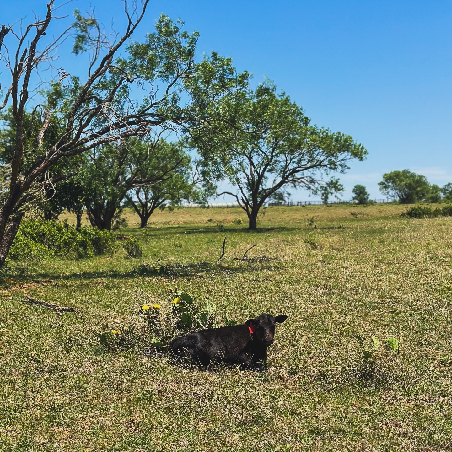 Summer, we’re ready for you!