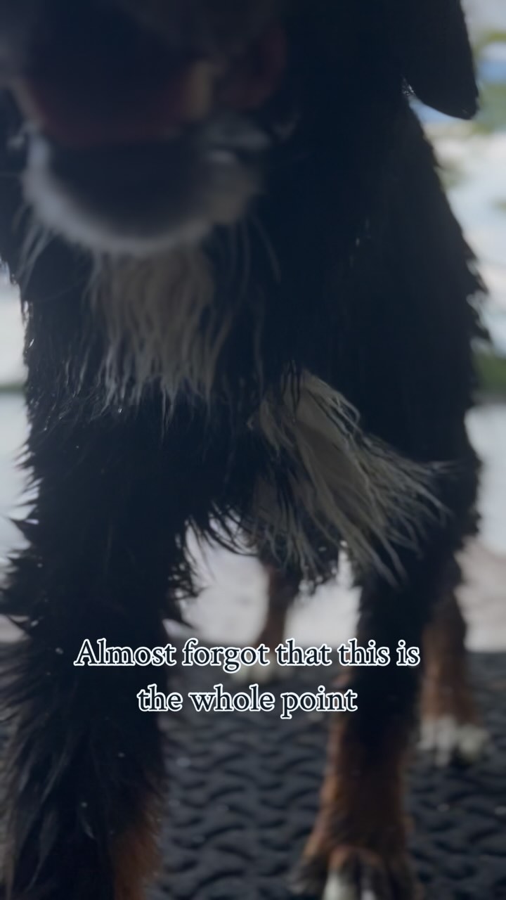 We put a WaterHog mat at the end of our dock 💦
They’re designed to get wet and dirty, and then they hose off clean for an easy refresh. Won’t crack, won’t rot, just works. #ad
Save with our code: BERTANDERNIE10