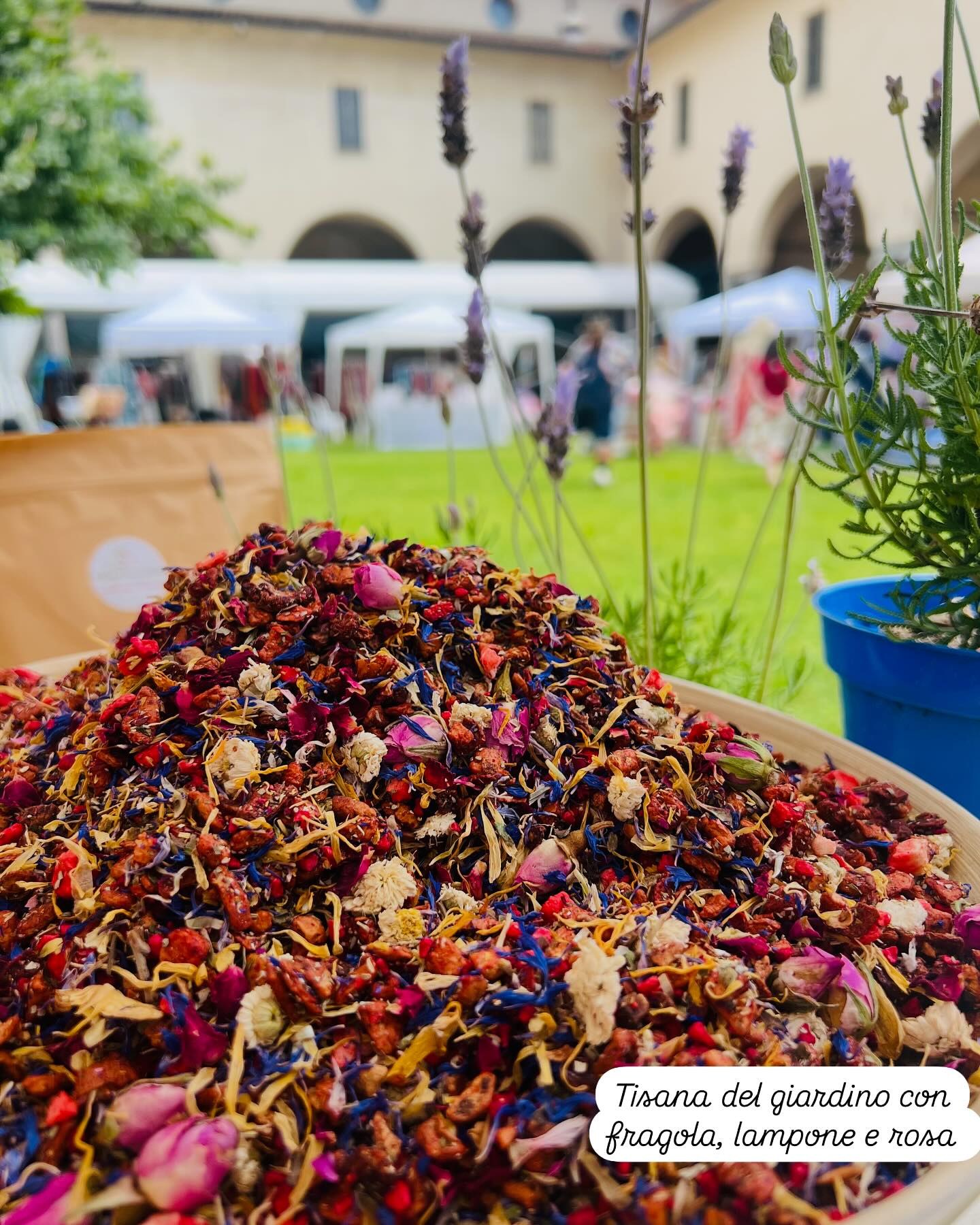 Lo sapevi che…?
Le tisane con fiori e frutta:
• Depurano naturalmente
• Rilassano corpo e mente
• Sono ricche di antiossidanti
• Rafforzano le difese
• Idratano con gusto!
Una pausa profumata e benefica!
#melaenocciola #orsettisana #musovauban #marsiglia #marseille
#tisana #benessere #naturalmente #rimedinaturali #fitoterapia #fioriefrutta #relaxnaturale #momentodiltea #infuso #tisanaamodomio #detoxnaturale #vitaminanaturale #healthyhabits #herbaltea #teatime #wellnessroutine #instatea