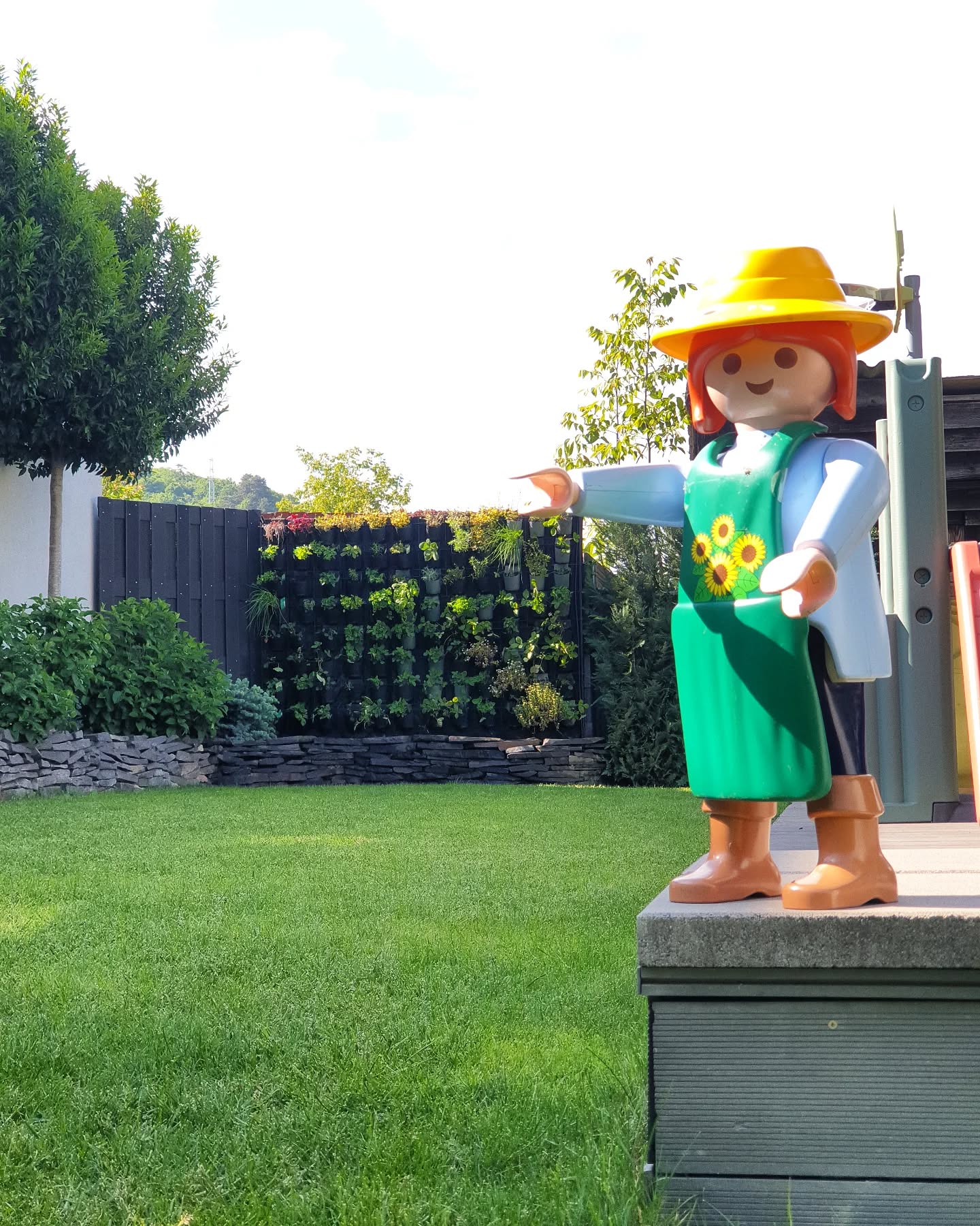 #zivotvzahrade
#mestskazahrada
#zivastena
#ziveobrazy
#kosice