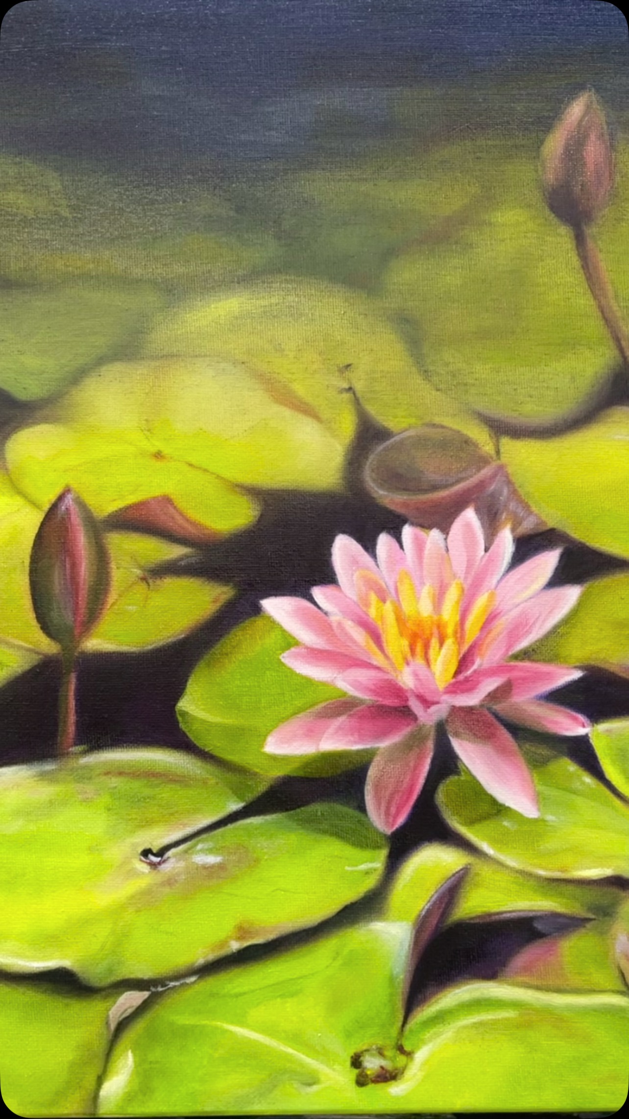 My waterlillies are officially done ! Hope you enjoy the process...
👏👏👏💚🩷🩵💙
Oil on canvas 30x40cm.
Thank you #bienarté for brilliant teaching. And #LindaStauffer for the reference photo 💚
#oilpainting #waterlillies #waterliliespainting #bienarté