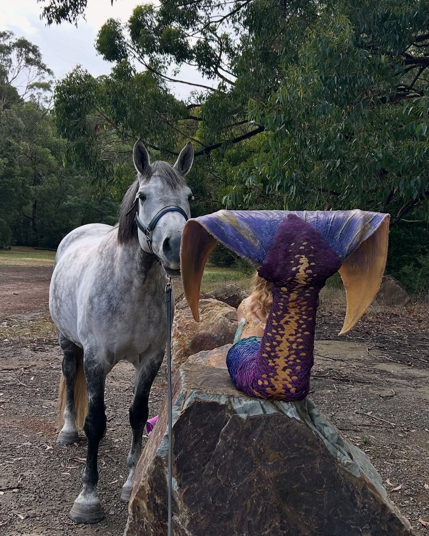 Yes, it was a real horse!🦄✨
What an incredible shoot experience with the lovely and talented @unicornandcooz, mermaids and unicorns are a match made in heaven 🤩💕
Featuring Bisou, trained by @caitlynkiekebosch
#mermaidtarielle #unicornandco #unicorn #mermaidandunicorn #realmermaid #mermaidlife #melbournemermaid #horseloversofinstagram #horsegirl #horsesofmelbourne