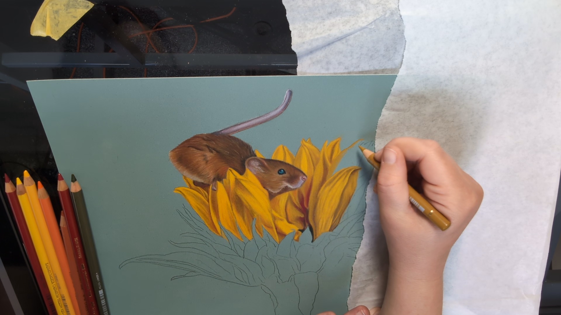Another hour completed ✅
#workinprogress #wipart #timelapseart #wipartwork #timelapse #artistatwork #essexartist #artistofinstagtam #animallover