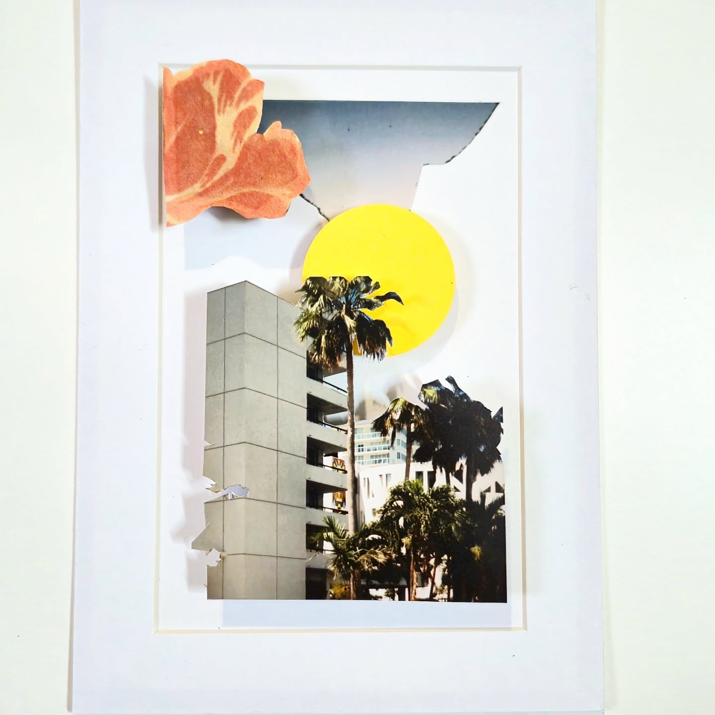Flowami
Multilayered analog photography collage
13 x 8 cm
Framed
#miami #florida #fl #towerofportugal #analog #photography #analogphotography #argentique #35mmfilm #nikonaf200 #nikon #fujifilm #palms #architecture #flower #collage #art #konscht #luxembourg #Lëtzebuerg #sunrise #sunset #travel #delphianopencall #miamibeach