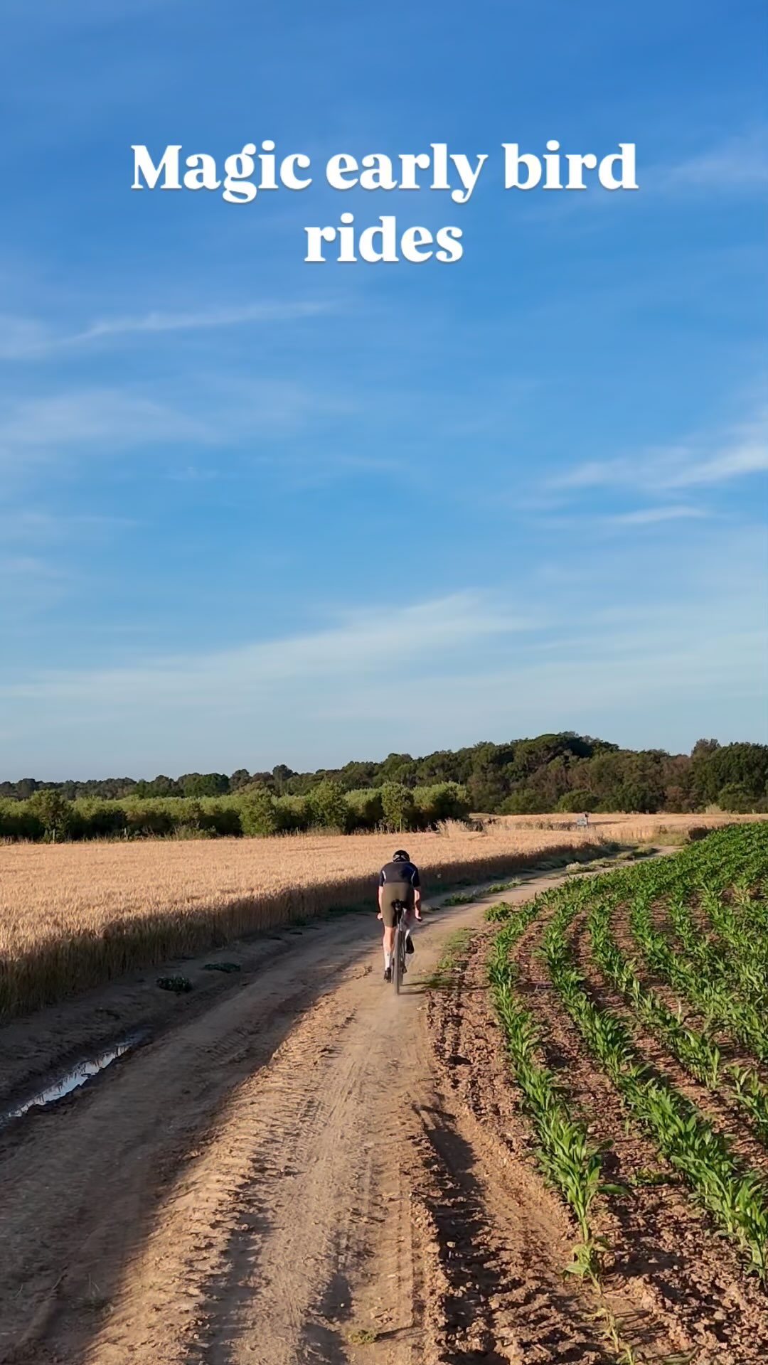 There’s something special about pedaling through the quiet before the world wakes up🙈. Loving every second of early bird rides around @grvlhouse 🌞💯
Come stay at @grvlhouse and discover it for yourself 🌾🚲
Hit us up to craft your one-of-a-kind adventure at Gravel House Empordà 🚀
#gravelcycling #gravelbike #adventurecycling #bikepacking #gravelgrind #cyclinglife #gravelriding #explorebybike #graveladventure #ridegravel #pedalandexplore #adventureonwheels #biketrip #recovery #trainingcamp #roadbiking #cyclingtips #cyclingcamp #gironacycling #gravelcatalunya