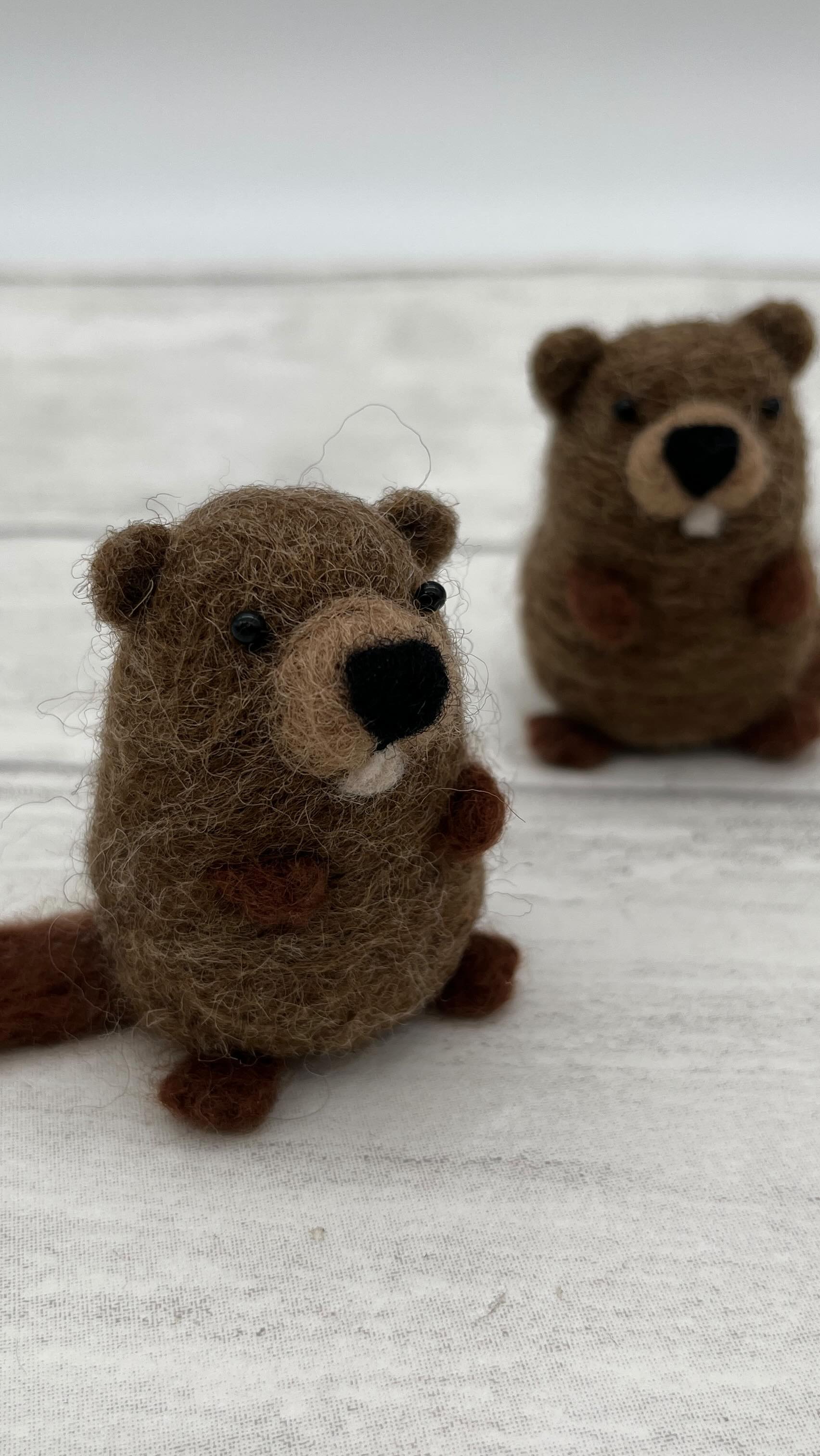 Keep your eyes peeled for our latest needle felting kit!! Coming soon!! #needlefeltedanimal #needlefeltingkit #beginnersneedlefelting #new #craftkit #beaver