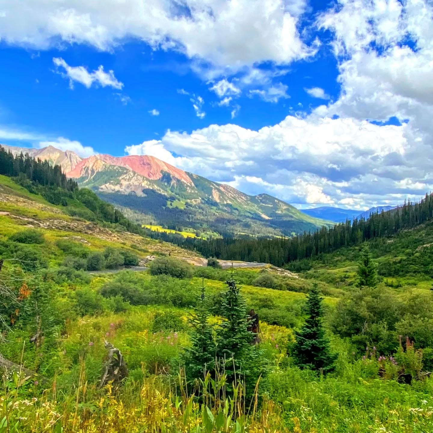 Explore the Colorado peaks on an E-bike. Tours running every week!
#colorado #visitdenver #thingstodoindenver #denvertourism #biketouring #ebiketour #coloradotours