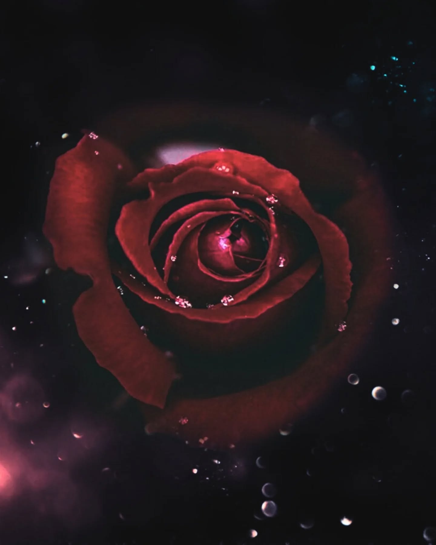 ✦ 𝒗𝒊𝒅𝒆 𝒇𝒆𝒓𝒕𝒊𝒍𝒆
.
.
.
« 𝐴𝑣𝑎𝑛𝑡 𝑙𝑎 𝑟𝑜𝑠𝑒, 𝑖𝑙 𝑦 𝑒𝑢𝑡 𝑙’𝑜𝑚𝑏𝑟𝑒,
𝑈𝑛 𝑚𝑜𝑢𝑣𝑒𝑚𝑒𝑛𝑡 𝑙𝑒𝑛𝑡, 𝑢𝑛 𝑝𝑎𝑠 𝑞𝑢𝑖 𝑠𝑜𝑚𝑏𝑟𝑒.
𝐽’𝑎𝑖 𝑙𝑎𝑖𝑠𝑠𝑒́ 𝑚𝑜𝑢𝑟𝑖𝑟 𝑙’𝑎𝑛𝑐𝑖𝑒𝑛 𝑚𝑜𝑛𝑑𝑒,
𝑃𝑜𝑢𝑟 𝑞𝑢’𝑢𝑛 𝑛𝑜𝑢𝑣𝑒𝑎𝑢 𝑠𝑜𝑢𝑓𝑓𝑙𝑒 𝑎𝑏𝑜𝑛𝑑𝑒.
𝐷𝑎𝑛𝑠 𝑙𝑒 𝑠𝑖𝑙𝑒𝑛𝑐𝑒, 𝑡𝑜𝑢𝑡 𝑠𝑒 𝑡𝑖𝑠𝑠𝑒 :
𝐿𝑎 𝑐ℎ𝑢𝑡𝑒, 𝑙𝑎 𝑟𝑒𝑛𝑎𝑖𝑠𝑠𝑎𝑛𝑐𝑒, 𝑙’𝑒𝑠𝑞𝑢𝑖𝑠𝑠𝑒.
𝐶𝑒 𝑣𝑖𝑑𝑒 𝑓𝑢𝑡 𝑚𝑜𝑛 𝑠𝑎𝑛𝑐𝑡𝑢𝑎𝑖𝑟𝑒,
𝑂𝑢̀ 𝑗’𝑎𝑖 𝑠𝑒𝑚𝑒́ 𝑙𝑒𝑠 𝑔𝑟𝑎𝑖𝑛𝑒𝑠 𝑑𝑎𝑛𝑠 𝑐𝑒𝑡𝑡𝑒 𝑓𝑒𝑟𝑡𝑖𝑙𝑒 𝑡𝑒𝑟𝑟𝑒. »
.
Avant la révélation, il y a eu le 𝘃𝗶𝗱𝗲.
Un espace de silence, de gestation, de retrait.
Là où tout s’effondre pour mieux renaître.
Ce que vous vous apprêtez à découvrir n’est pas une simple transformation.
C’est une 𝘁𝗿𝗮𝗻𝘀𝗺𝘂𝘁𝗮𝘁𝗶𝗼𝗻 𝘀𝗮𝗰𝗿𝗲́𝗲.
Une renaissance lente, tissée dans l’invisible, portée par la Foi.
𝐀𝐋 𝐑𝐎𝐒𝐄𝐍𝐀 est née dans ce "vide fertile".
𝘗𝘰𝘶𝘳 𝘭’𝘢𝘯𝘦𝘤𝘥𝘰𝘵𝘦…
C’est l’une des cartes de l’𝗢𝗿𝗮𝗰𝗹𝗲 𝗱𝗲 𝗹𝗮 𝗥𝗼𝘀𝗲 ﹙ᴅᴇ ʀᴇʙᴇᴄᴄᴀ ᴄᴀᴍᴘʙᴇʟʟ﹚ que j’ai la plus rencontrée dans mes tirages. Souvent, cette carte effraie et rebute. Pourtant, elle nous enseigne l’importance de ce vide, de ce néant qui n’en est jamais véritablement un. Cela nous rappelle que sans ce vide, il n’y a pas l’espace nécessaire à la création, à l’expansion, à la pure… éclosion. Comme l’hiver, ou après un feu dévastateur. La nature foisonne et explose de luxuriance.
Le mouvement est toujours présent. Et le mouvement, c’est la Vie. Même la mort est mouvement. Un mouvement parfois imperceptible, silencieux, car profondément 𝗶𝗻𝘁𝗶𝗺𝗲…
Faisons-nous offrande de ce vide fertile. Cessons de le craindre, de le fuir, de le rejeter.
↠ 𝙇𝙚 𝙫𝙚𝙣𝙙𝙧𝙚𝙙𝙞 30 𝙢𝙖𝙞, 𝙟𝙚 𝙫𝙤𝙪𝙨 𝙙𝙚́𝙫𝙤𝙞𝙡𝙚𝙧𝙖𝙞 𝙡𝙚 𝙛𝙧𝙪𝙞𝙩 𝙙𝙚 𝙘𝙚 𝙫𝙞𝙙𝙚 𝙛𝙚𝙧𝙩𝙞𝙡𝙚…
___
#alrosena #nouvelleidentité #videfertile #universmystique #therapeuteholistique #voiedelarose #pretresse #rose #femmemedecine #femininsacre #feminindivin #sagesseancestrale #rituelsdefemmes #paris