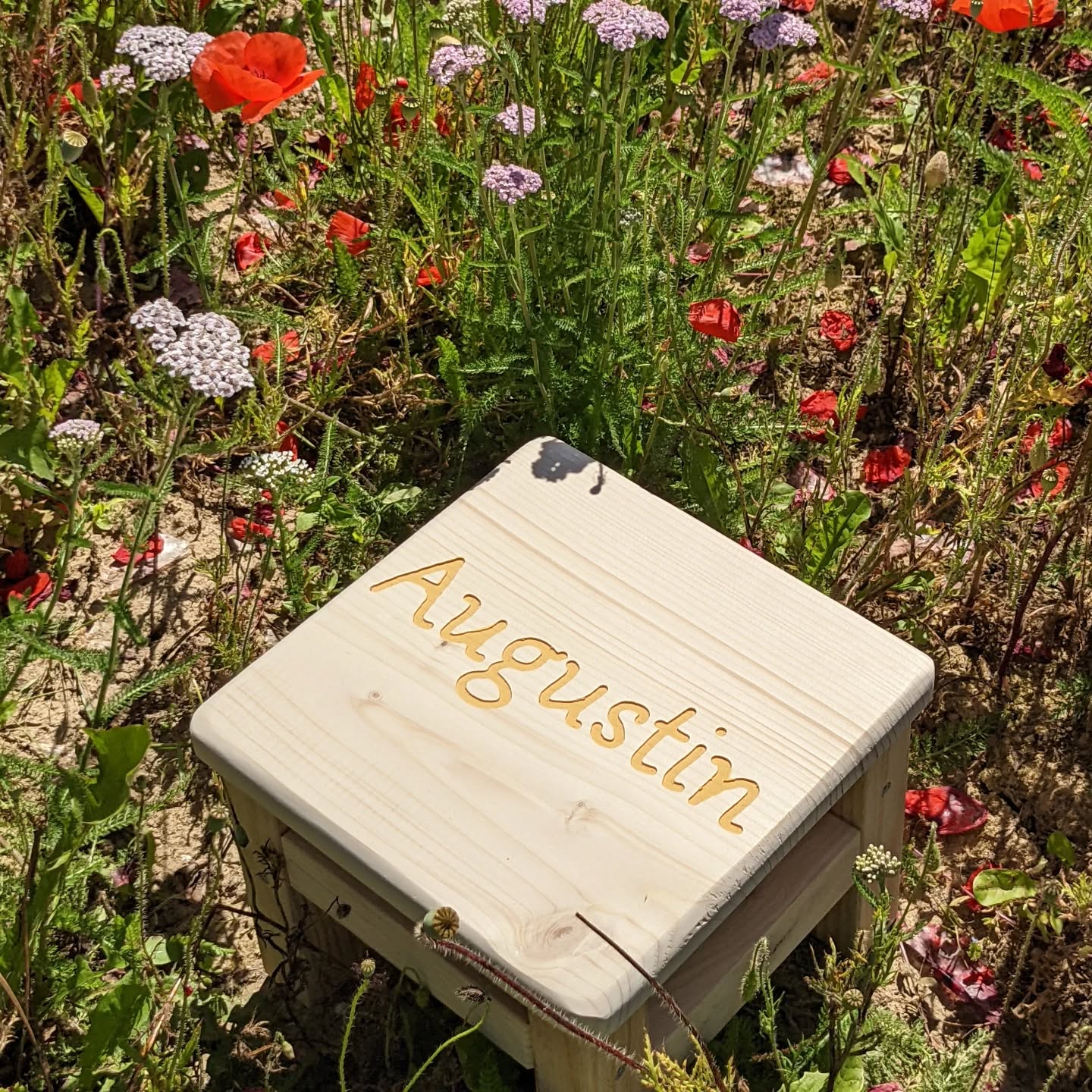 Les tabourets de printemps 😍😍😍
On est peu présent sur les réseaux cette semaine, on a pas mal de commandes en cette fin d'année scolaire 😍
Merci à vous 💜
#lestabouretsdandrea #tabouret #ideecadeau