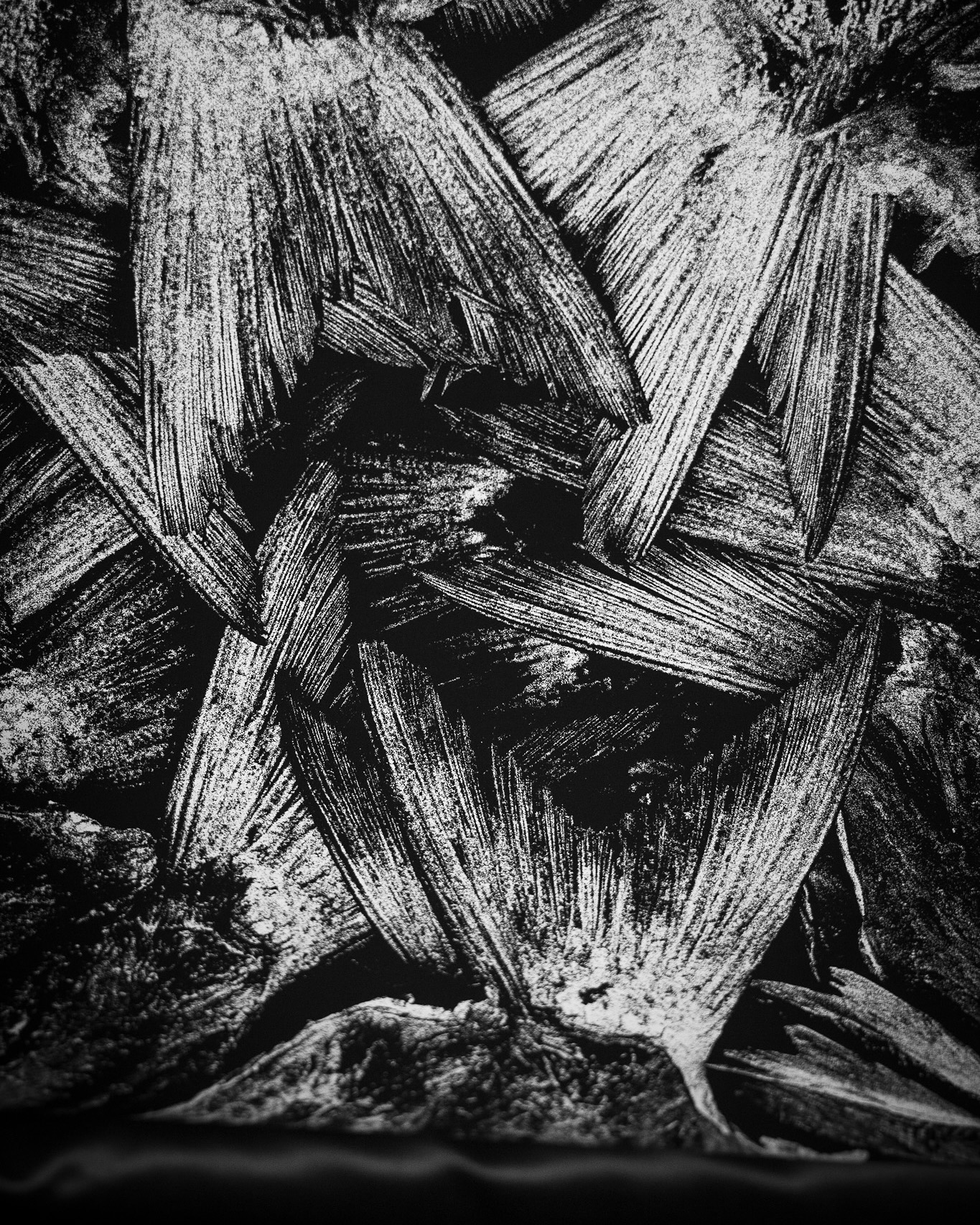 Impresiones para @albertoelnegrofoto Trabajamos con Smooth Cotton Rag 310g para lograr el detalle, el contraste y la profundidad que estas fotografías necesitaban.
@ilfordphoto
.
.
.
#impresionfineart #smoothcottonrag #papelalgodon #impresiondigital #fotografiadocumental #fotografiaartistica #galeriadearte #arteoaxaca