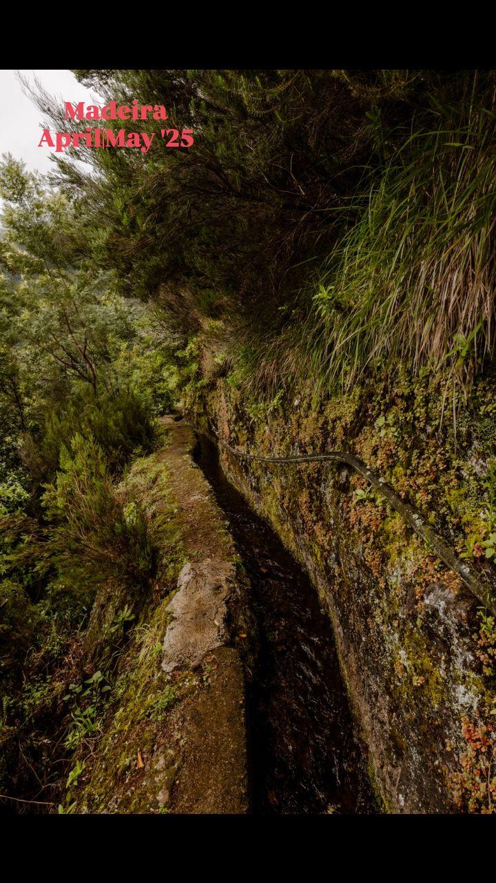 #madeira #funchal #portomoniz #portosanto #flowerisland