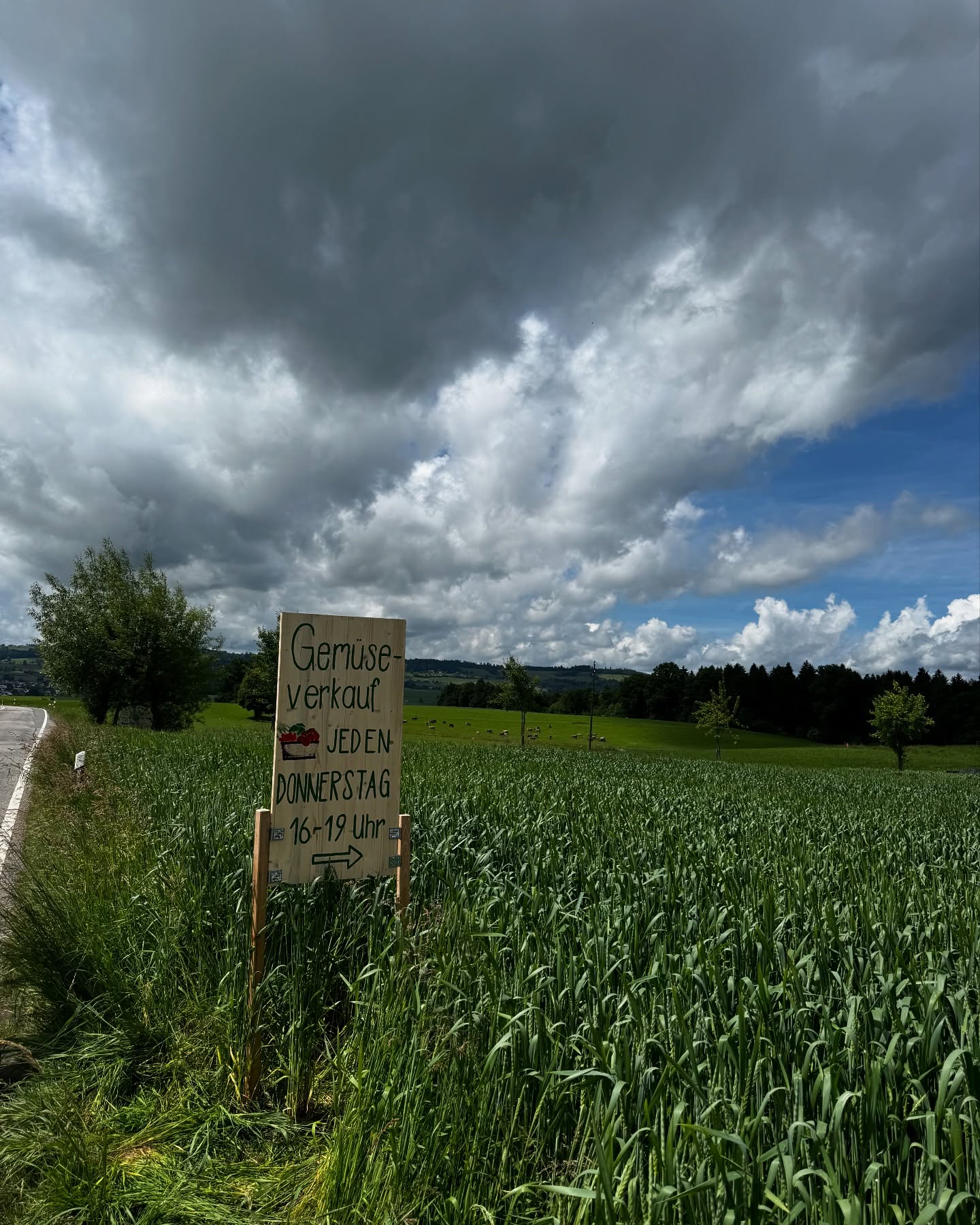 Hofverkauf jeden Donnerstag von 16-19 Uhr bei uns😊😊🎉🎉 Jeder ist willkommen :)
.
.
#hofprodukte #hofgemüse #demeter #bio #frisch #direkt #saisonal