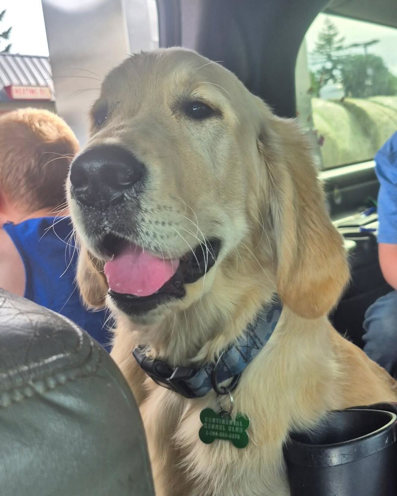 This is not Tex! It’s Teddy! 4 months old now. So cute! 🤍🐾🤍🐾