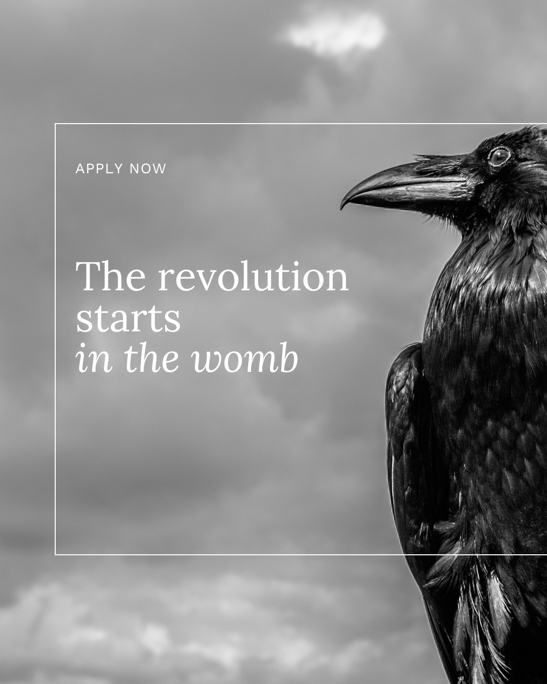 She’s the part of you that was taught to shrink.
To be thin, agreeable, quiet.
To be “nice.”
To stay in shape, keep it together, never take up too much space.
You were praised when you didn’t speak up.
Rewarded for being easy.
Told that being a good girl meant being selfless—even invisible.
And maybe you still carry that girl in your body.
In how you people-please.
In how you apologize for your needs.
In how you silence your “no.”
In how you’re still trying to be light, small, contained.
But here’s the truth no one told us:
You can’t embody your inner power while clinging to the image of the girl.
You can’t speak from your womb while trying to stay soft and sweet for everyone else.
There comes a moment—
where you decide you’re done waiting.
Where you meet the part of you that leads.
Not from force,
but from depth.
That’s the Sovereign Woman.
She lives in your womb.
She sets boundaries.
She says what’s true.
She takes up space without apology.
The revolution doesn’t start when the world changes.
It starts when you do.
From the inside out.
From the ground up.
From your womb.
✨ Comment “womb” if you’re ready to leave the girl behind—and meet the woman you already are.
#SovereignWomb #WombWisdom #FeminineHealing #EmbodiedFeminine #ReclaimYourVoice