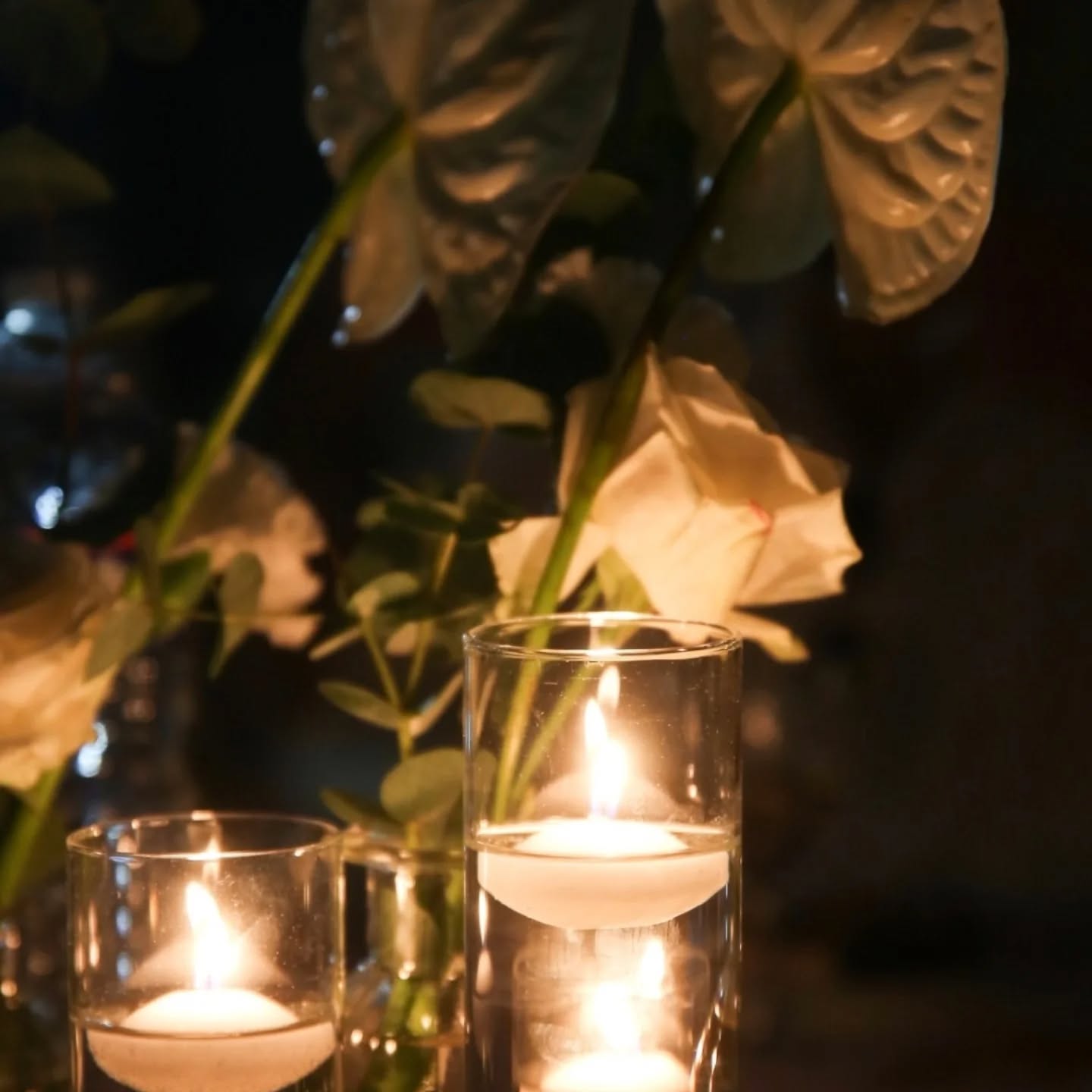 Nos photophores en verre, disponibles en trois hauteurs différentes, sont parfaits pour créer une ambiance douce et élégante avec des bougies flottantes. Leur transparence et leur design épuré apportent une touche de poésie à vos tables de mariage.
Idéaux pour habiller un centre de table, un buffet ou une allée de cérémonie, ils jouent sur les hauteurs et reflètent joliment la lumière pour un effet chic garanti.
Disponibles à la location sur notre site :
www.provencelocationmariage.com, réservez-les dès maintenant pour sublimer votre décoration !
_____________
Our glass candle holders, available in three different heights, are perfect for creating a romantic and refined atmosphere with floating candles. Their clean, transparent design brings a delicate and poetic touch to your wedding decor. 🕯️💫
Whether used as centerpieces, on a buffet, or along a ceremony aisle, they add height, harmony, and beautiful reflections of light for a truly elegant effect.
Available for rent on our website:
www.provencelocationmariage.com
Book now to elevate your wedding ambiance