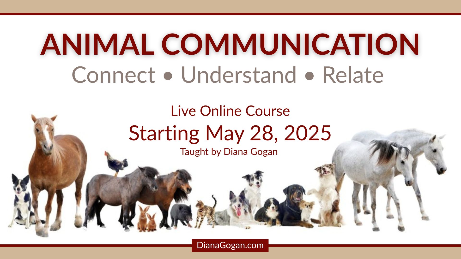 It's just around the corner...literally!
The first module in the Animal Communication class is released tomorrow! Module 1 Foundations in Animal Communication -
• learn about the key element in ALL communication sessions and how to strengthen it,
• understand the 3 Pillars of Communication,
• the different types of language's used in Animal Communication, and
• how to recognize your reception mode(s) so you can "hear" what animals are saying.
And this is just the start of what promises to be a transformational experience!
If you're heart yearns to learn how to communicate with animals, this class is for you!
Register at https://www.dianagogan.com/animal-communication-class. Join us!
@animalcommunicationclass @animalcommunication @talk2animals @dianagogancoaching