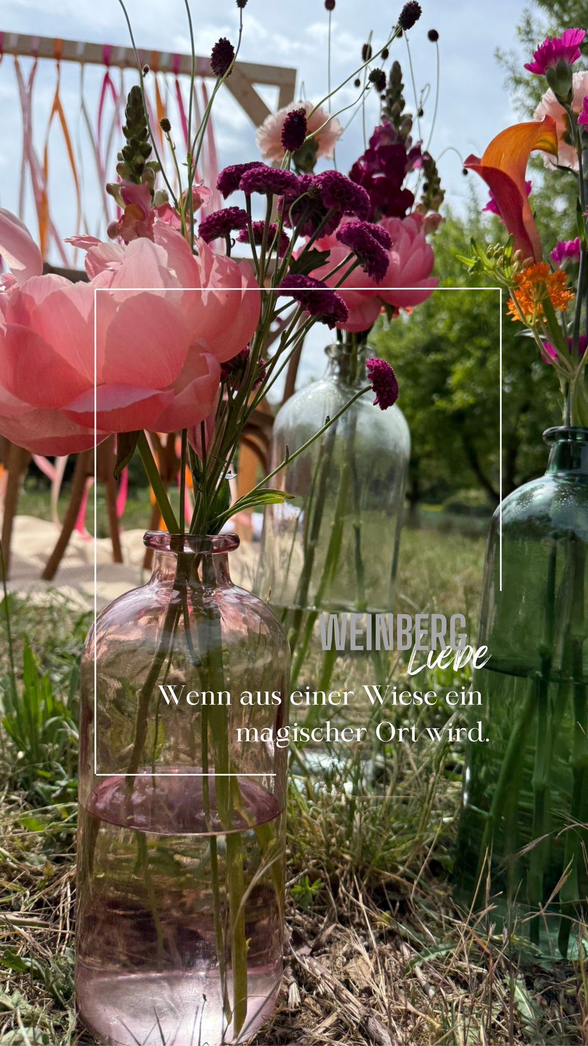 ✨Große Weinbergliebe 🫶
Ich liebe es zu sehen, wie sich ein Ort verwandelt. Vom stillen Fleckchen mitten in den Weinbergen des @weingut_fesel zu einem kunterbunten Lieblingsplatz voller Leben, Liebe und Sommermagie.
Dieses Paar hat sich für eine locker-leichte, farbenfrohe Deko entschieden, die einfach perfekt zur Stimmung gepasst hat und wunderschön umgesetzt wurde von @_die_schoenmacherei_.
Bunte Blumen, rustikale Elemente, fröhliche Menschen. Manchmal braucht es gar nicht viel, um einen Ort in ein echtes Paradies zu verwandeln.
Und dann noch eine einzigartige, sehr persönliche und liebevoll gestaltete Traurede von @worte_fuer_die_ewigkeit, die nicht nur beim Hochzeitspaar, sondern auch bei den Gästen für Tränen vor Lachen und Rührung gesorgt hat... 🥰🥰🥰 Danke, liebe A&P, dass ich euch auf dieser spannenden Reise begleiten durfte. Durch die Musik von Selina und @ole_bott lag zusätzliche Magie in der Luft.
Jede Hochzeit ist anders, jedes Paar bringt seine eigene Farbe und Energie mit. Wie sieht für euch der perfekte Ort zum Heiraten aus? Bunt und wild? Ganz pur? Oder vielleicht mitten im Weinberg? Erzählt mir mal: Wo würdet ihr euer Ja-Wort feiern? 🫶
Alles Liebe, Silke
FREIE TRAUUNG
PERSÖNLICHE REDE
HEIRATEN IN DEN WEINBERGEN
#hochzeitinfranken #hochzeitmainfranken #hochzeitbayern #hochzeitunterfranken #hochzeitindenweinbergen #hochzeitsinspiration #hochzeitsplanung #sommerhochzeit #weinbergliebe #maibraut #sommerliebe #freietrauung #freietrauungbayern #freierednerin #freierredner #freierede #hochzeitsinspo #verlobt #brautkleid #ringtausch #ehegelübde #worte_fuer_die_ewigkeit #wortefuerdieewigkeit_akademie