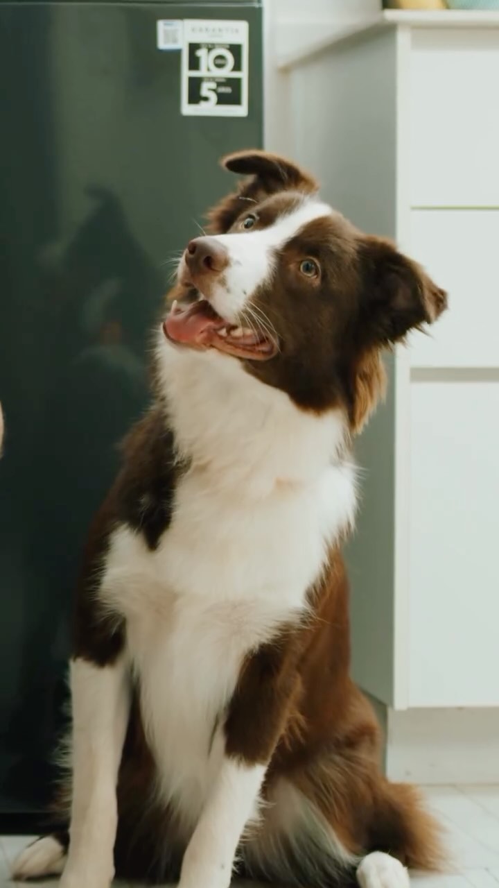 Les presentamos los nuevos lavarropas de @whirlpoolpy @ngosaeca 🤩 quédate a ver
Productora: Renovatio Films
Director / DOP: Pietro Scappini
Productor ejecutivo: Mauri Du
AD: Elías Paredes
Jefe de producción: Beta Gimenez
Asistentes de produccion: Giovanni Coronel, AleDu, Ara Viveros
Jefe de Casting: Lily Seiferheld
Jefe de vestuario: Monste Cuevas
Asistente de vesturario: Thessa Rau
Jefe de locaciones: Santiago Eguia
Maquillaje: Laura Vera
Arte:
Directora de arte: Montse Cuevas
Asistente de arte: Ali Martinez
Ayudante de arte: Dani Caballero
Realizador: Jonny Medina / Alan Medina
Cámara:
AC: Junior Masi
2da AC: Agos Ardanaz
Técnica:
Gaffer: David Acosta
Key grip: Emilio Rojas
Eléctrico: Roberto Ocampos
Post: Lucas Rojas
Catering de las chicas