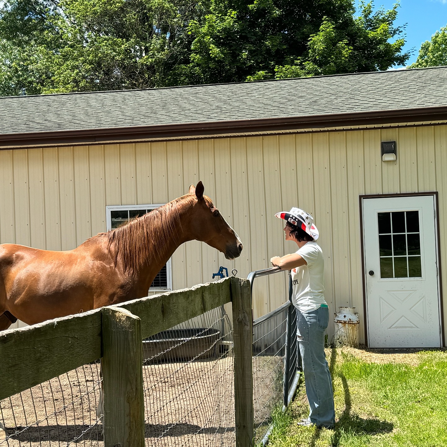Just call me the horse whisperer #horse #neigh
