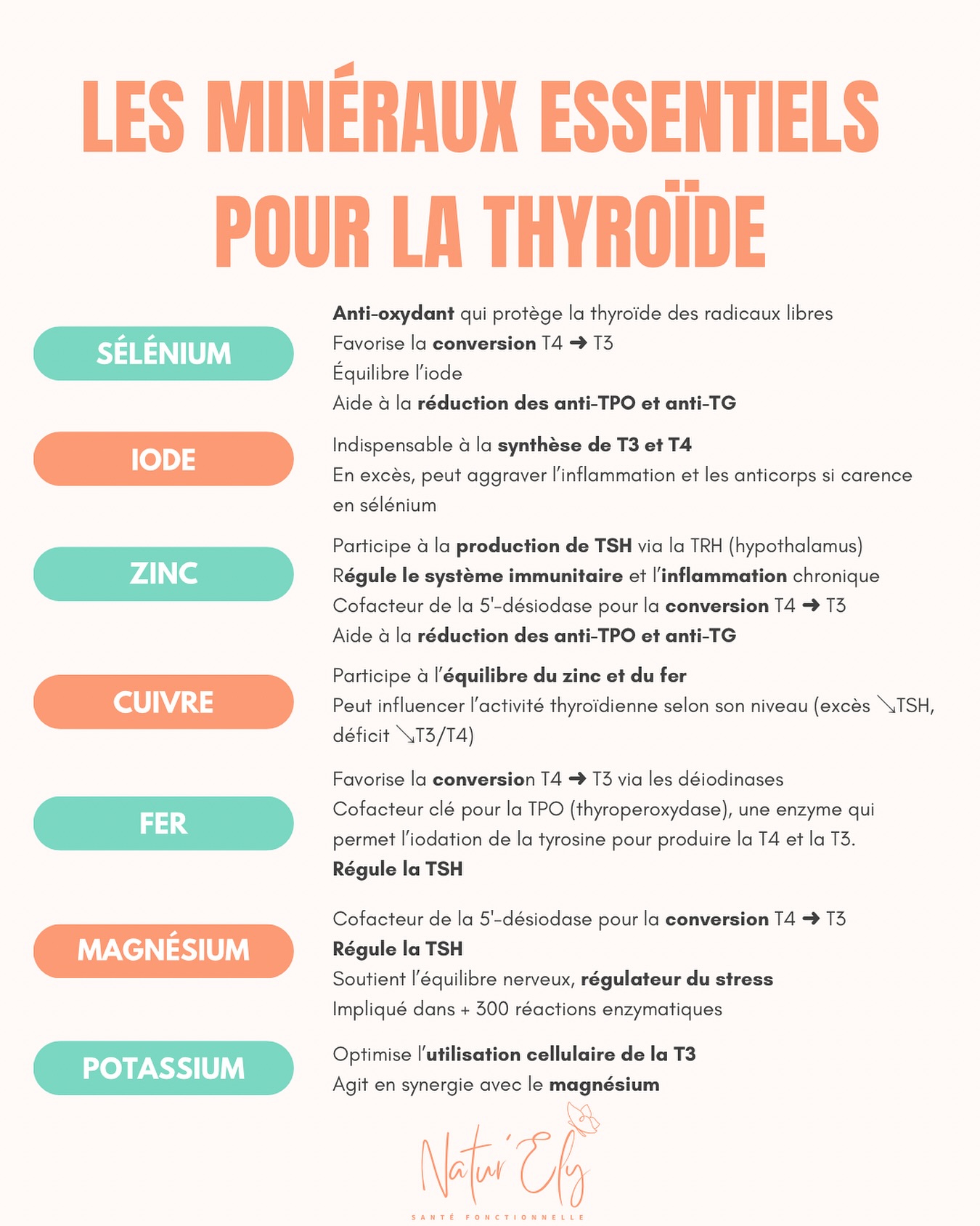 Tu entends souvent parler de l’iode ou du sélénium pour ta thyroïde.
Mais connais-tu le rôle du fer, du zinc, du magnésium, ou même du potassium ?
Chaque minéral a un rôle précis dans la production, la conversion ou l’utilisation des hormones thyroïdiennes (T4 et T3).
⚠️Mais l’équilibre est fragile :
Trop d’iode sans assez de sélénium peut aggraver l’inflammation.
Un excès de zinc peut déséquilibrer le cuivre.
Et si tes intestins ou ton foie ne fonctionnent pas bien… tu peux avaler tous les compléments du monde sans effet. 😮💨
Retiens bien ceci :
Le problème ne vient pas toujours d’un manque dans l’assiette.
Il peut venir d’une mauvaise absorption, d’un déséquilibre, ou tout simplement d’un corps qui n’arrive plus à utiliser ce qu’on lui donne.
C’est tout ça qu’on essaye de comprendre en consultation.
——————————
🦋 Première fois ici ?
Moi, c’est Élise, naturopathe spécialisée dans les troubles de la thyroïde, sans thyroïde depuis mon cancer en 2016🎗️
J’aide les femmes à retrouver leur énergie et se sentir bien dans leur corps. 💙
👉 Déjà aidé des dizaines de femmes. Pourquoi pas toi ?
Check ma bio ! (Ressources gratuites et prise de RDV)
#thyroïde #hypothyroïdie #hashimoto #thyroidesante #naturopathie #fatiguethyroidienne #minerauxessentiels #santéhormonale #naturopathe