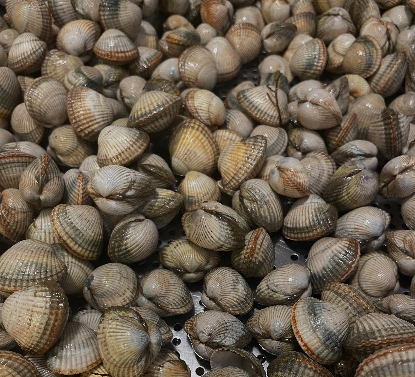 Réouverture du restaurant ce jeudi 29 pour le déjeuner! Nouveaux horaires. Du mardi au samedi Midi e…