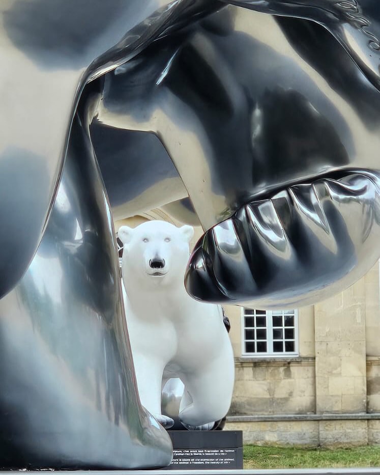 Douceur Animale s’invite à Caen et Ouistreham 🐾
Gorilles, ours bruns, ours polaires….des sculptures en plein air qui culminent à plus de deux mètres, accessibles à tous, du 28 mai au 3 novembre 2025.
📍Hôtel de Ville de Caen & Promenade de la Paix, Ouistreham Riva-Bella
#michelbassompierre #sculptureanimaliere #artenpleinair #caenlamer #ouistreham #douceuranimale #millénairecaen2025