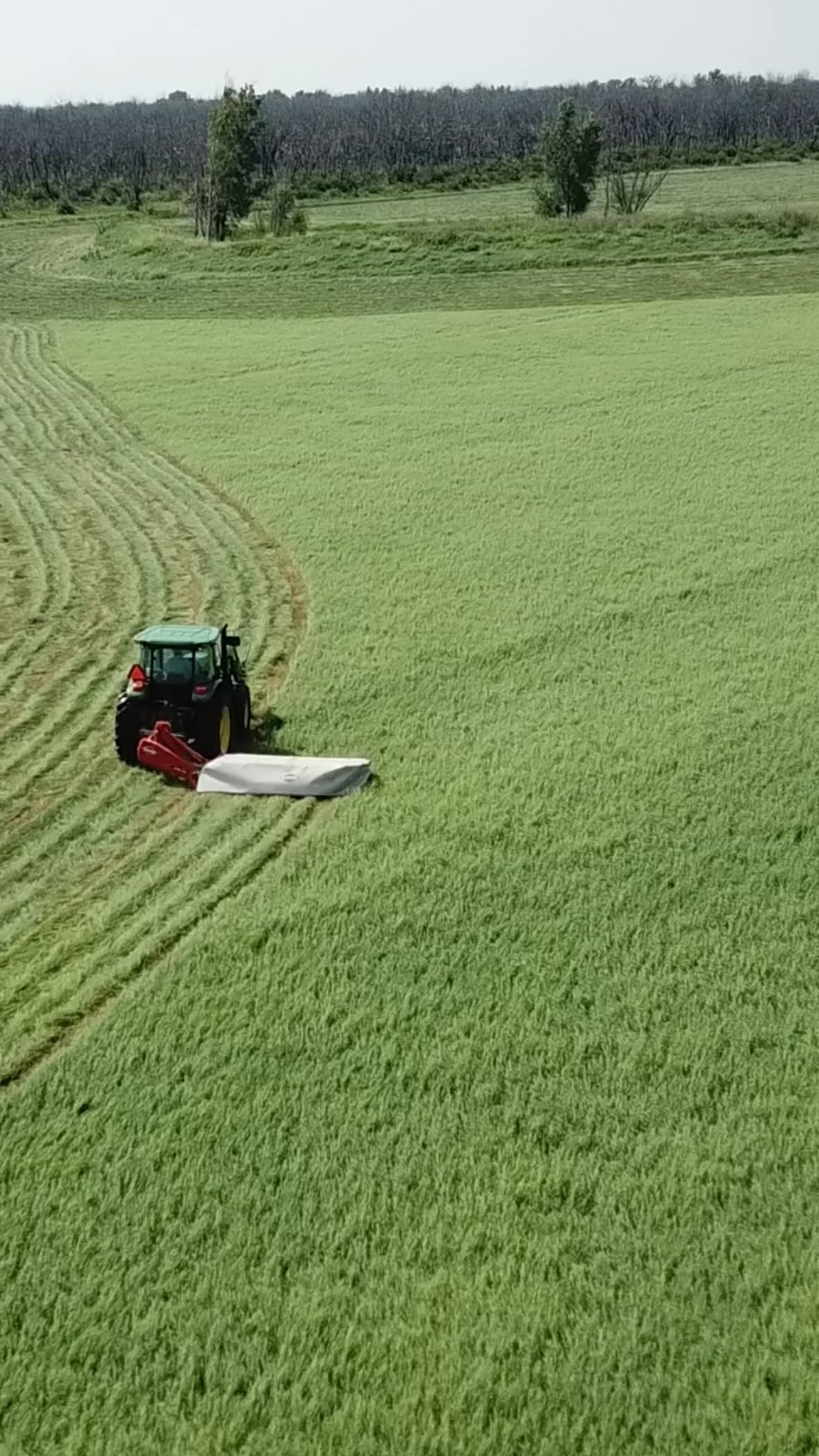 🗣️🗣️🗣️