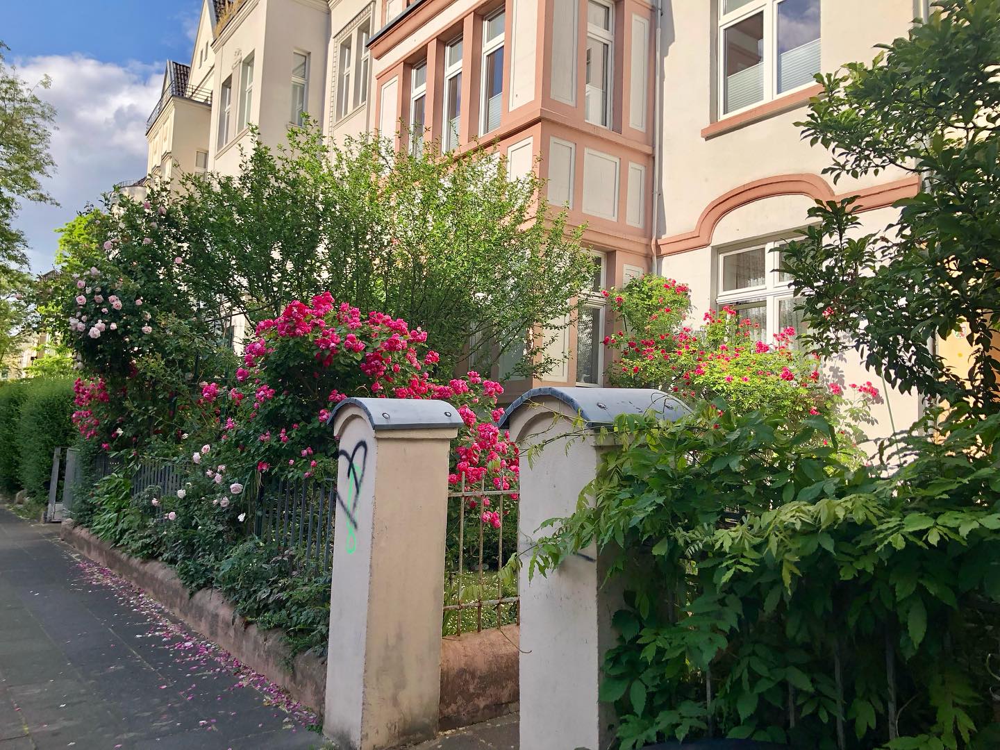 Es ist immer wieder erstaunlich, wie (positiv) verändert man aus einer Coaching-Stunde herausgehen kann. Vor der Sitzung habe ich flach geatmet, mir war übel und ich hatte einen negativen Blick auf viele Dinge. 50 Minuten später atmete ich wieder tiefer, und ich war offen, weit, entspannt und zuversichtlich. Und mit einem Lächeln auf den Lippen.
Coaching | Beratung | Begleitung bringt wieder Bewegung ins Innere. Was innerlich starr und eng geworden ist, wird wieder beweglich und ordnet sich neu. Ich empfinde es als so wertvoll, sich regelmäßig diese „zweite Perspektive“ einzuholen. Und sich diese Self-Care vor allem als Mutter zu gönnen, ist einfach wohltuend. By the way auch mit Baby möglich!
#selfcare #persönlichkeitsentwicklung #innerearbeit #beratung #coaching #zweiteperspektive #gönndirzeitfürdich #coachingmitbaby #coachingfürmütter #kleineauszeit #redenhilft #metimeformothers