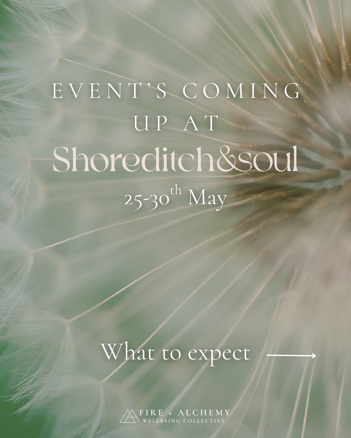 We’re continuing our events at the gorgeous Sanctuary space at Shoreditch &Soul over the next week!
Here’s what’s going on:
Sunday 25th: New Moon Ceremony | Cacao, Rituals, Movement + Sound Healing with Bella
Monday 26th: New Moon Sacred Sound Healing with Jessii
Tuesday 27th: Emotional Clearing + Release Breathwork Journey with Bella
Friday 30th: Cacao Ceremony with Isabella
Link to tickets in Bio or on the F+A website!
#wellnessevents #london #shoreditch #breathwork #newmoon #soundhealing #newmoonceremony #sacredsound #londonevents #thisweek #may2025