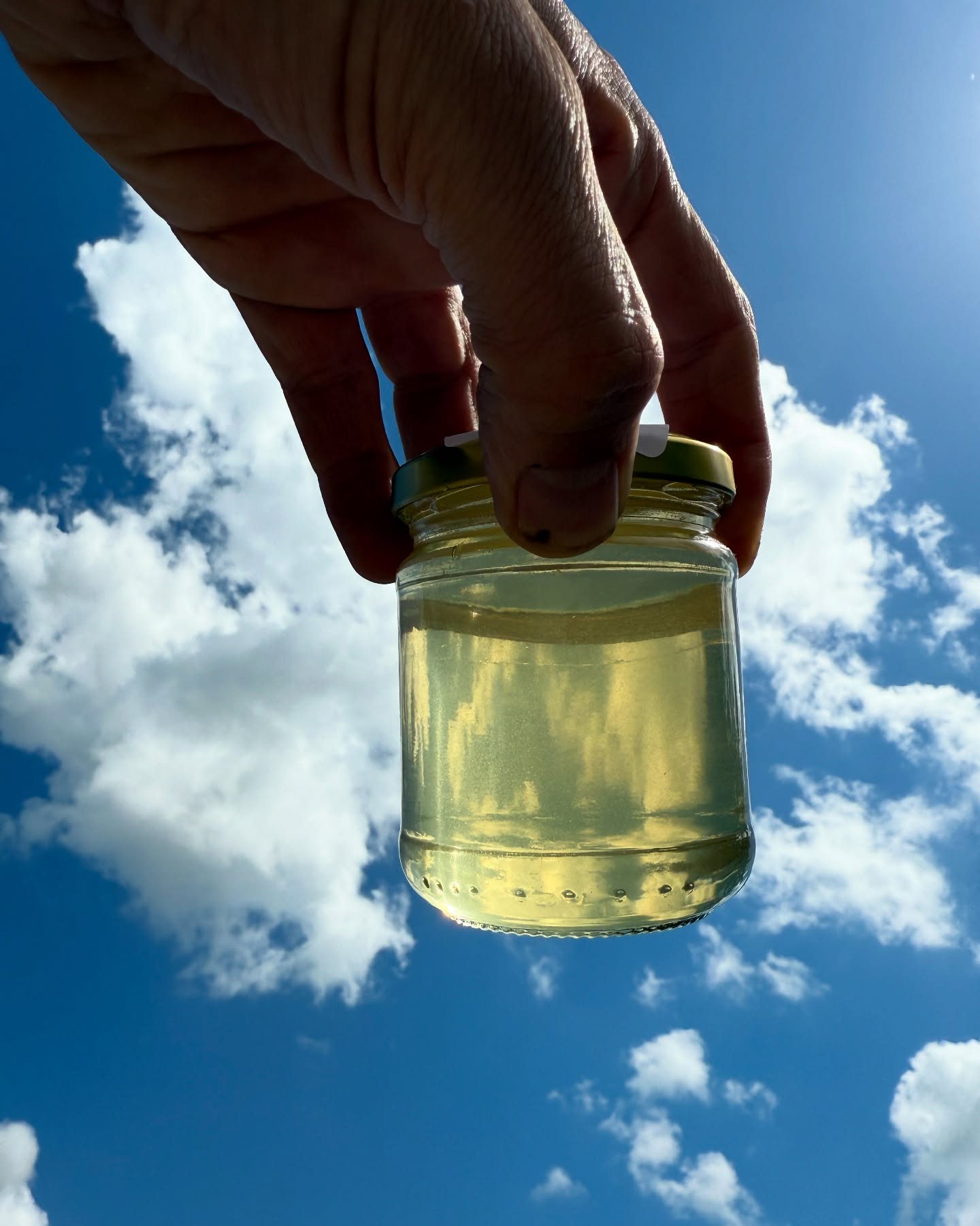 ☀️ l’acacia des belles années -celui qui laisse apparaître le ciel tant il est transparent ….
#lemielremyglaise #auvergnerhonealpes #isere #rhone #lyonnais #acacia #miel #honey #nature #sky #ciel #nuage #healthy #spring #food #foodstagram #foodporn #foodies #foodpics #foodlover #beekeeping #beekeeper #apiary #apicultura