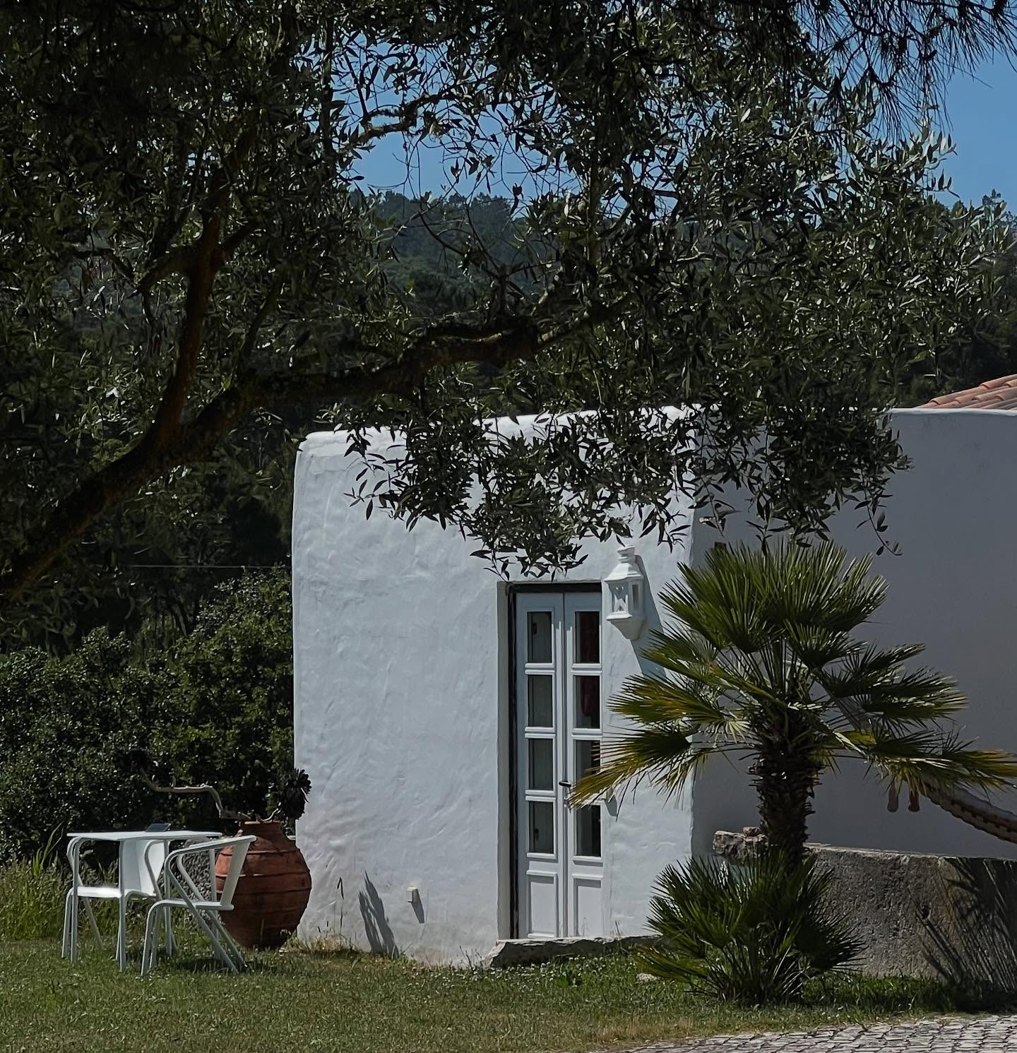 Taking a moment to look back at how far Casa Tudo Bem has come.
We’re learning every day — making mistakes, growing, figuring things out as we go.
It’s not always easy, but it feels so right.
We’re proud of what we’re building.
And mostly, we just want to say thank you.
To those who keep coming back, who share a part of their journey with us, who’ve been there since the beginning.
You’re part of this story.
Thank you, from the bottom of our hearts 💛
#casatudobem #tudobem ##guesthouse #gratitude #obidosportugal #obidos