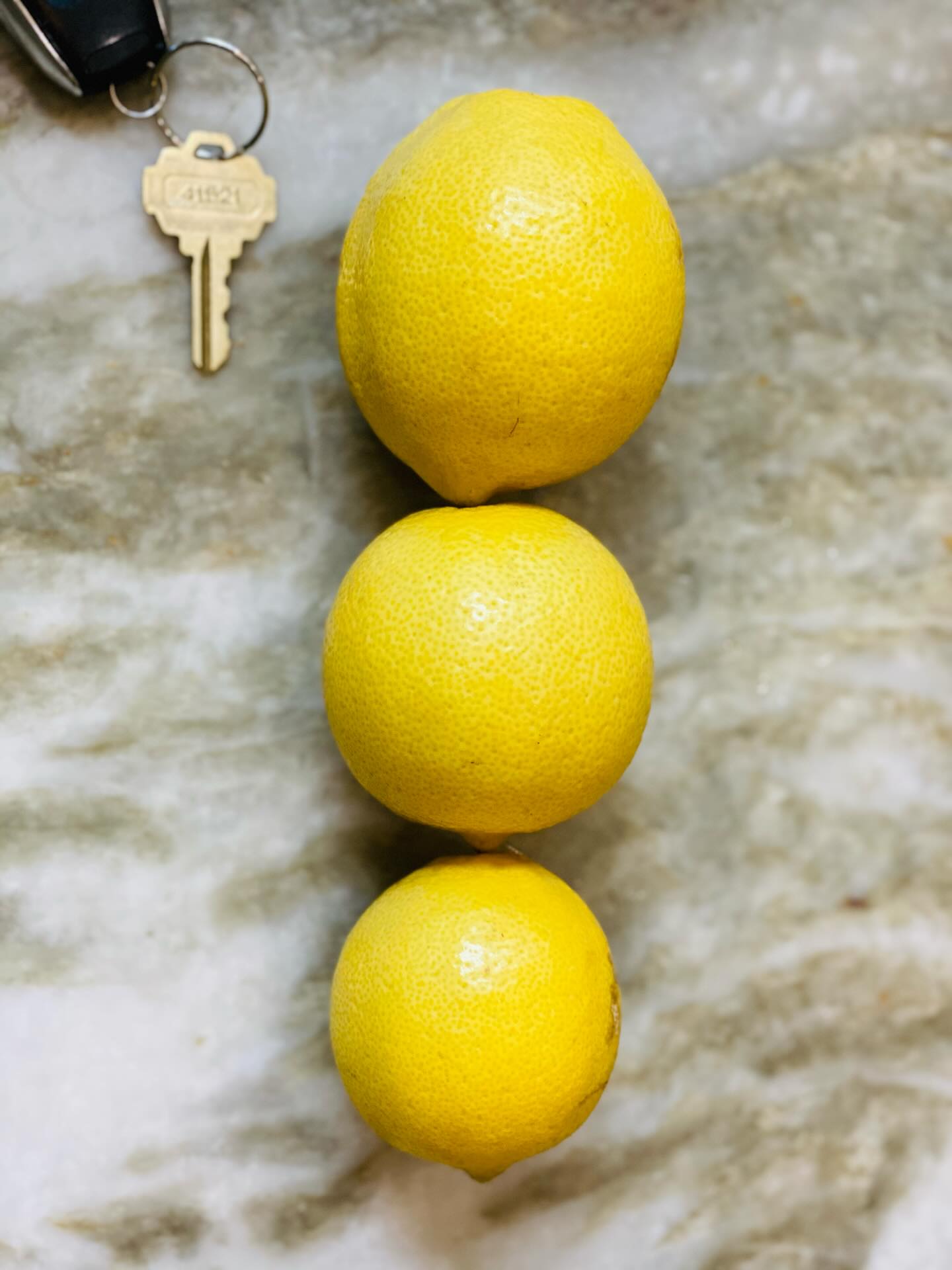 Did we miss you last weekend here at Camellia Groves?
Good news! We still have gorgeous lemons from our first harvest of the season available for order online!
If you are local, you can order them for pick up here at the Grove on Sundays from 12 to 2.
And if you don’t see what you want on the website, just email me. We will take care of you!
Welcome, June! #lemons #freshfromFlorida #🍋🍋🍋 #grovestand #floridacitrus #camelliagroves #farmtotable
Go to CamelliaGroves.com