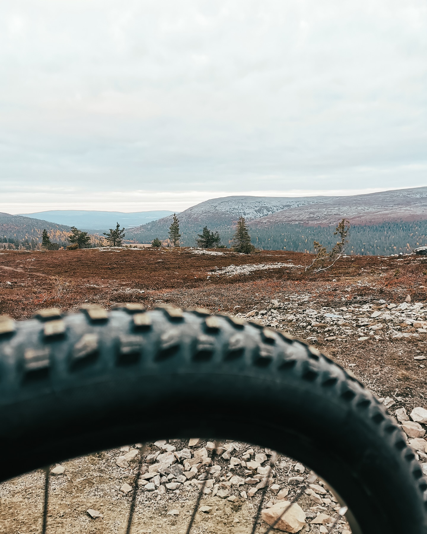 🚴♂️ ARVONTA – Voita osallistuminen Ylläs–Levi MTB 2025 -tapahtumaan! 🎉
Ylläs–Levi MTB ajetaan lauantaina 26.7.2025, ja tänä vuonna reitti starttaa Levin kylästä ja päättyy Ylläksen huikeisiin tunturimaisemiin. Valittavana on kolme matkaa: 75 km, 55 km ja 30 km – mukana myös sähköpyöräsarjat.
🎁 Arvomme @vandernet kanssa 2 osallistumisoikeutta tapahtumaan.
Näin osallistut:
1. Tykkää tästä julkaisusta ❤️
2. Seuraa meitä (jos et vielä seuraa)
3. Kommentoi alle, miksi haluaisit olla mukana 🚵
👉 Jos seuraat meitä jo, riittää että tykkäät ja kommentoit.
⏰ Arvonta päättyy: 8.6.2025 klo 23.59.
📩 Voittajiin ollaan yhteydessä yksityisviestillä arvonnan päätyttyä.
📍 Tapahtumasta lisää: yllaslevimtb.fi
📣 Instagram ei ole mukana arvonnassa eikä sponsoroi tai hallinnoi tätä kampanjaa.
Nähdään Ylläksellä!
#YlläsLeviMTB #MTB2025 #SisuOutdoor #Maastopyöräily #Ylläs #Arvonta #vandernet #sisukkaastiseikkaillen #arcticactivitiesforeveryone #visitylläs