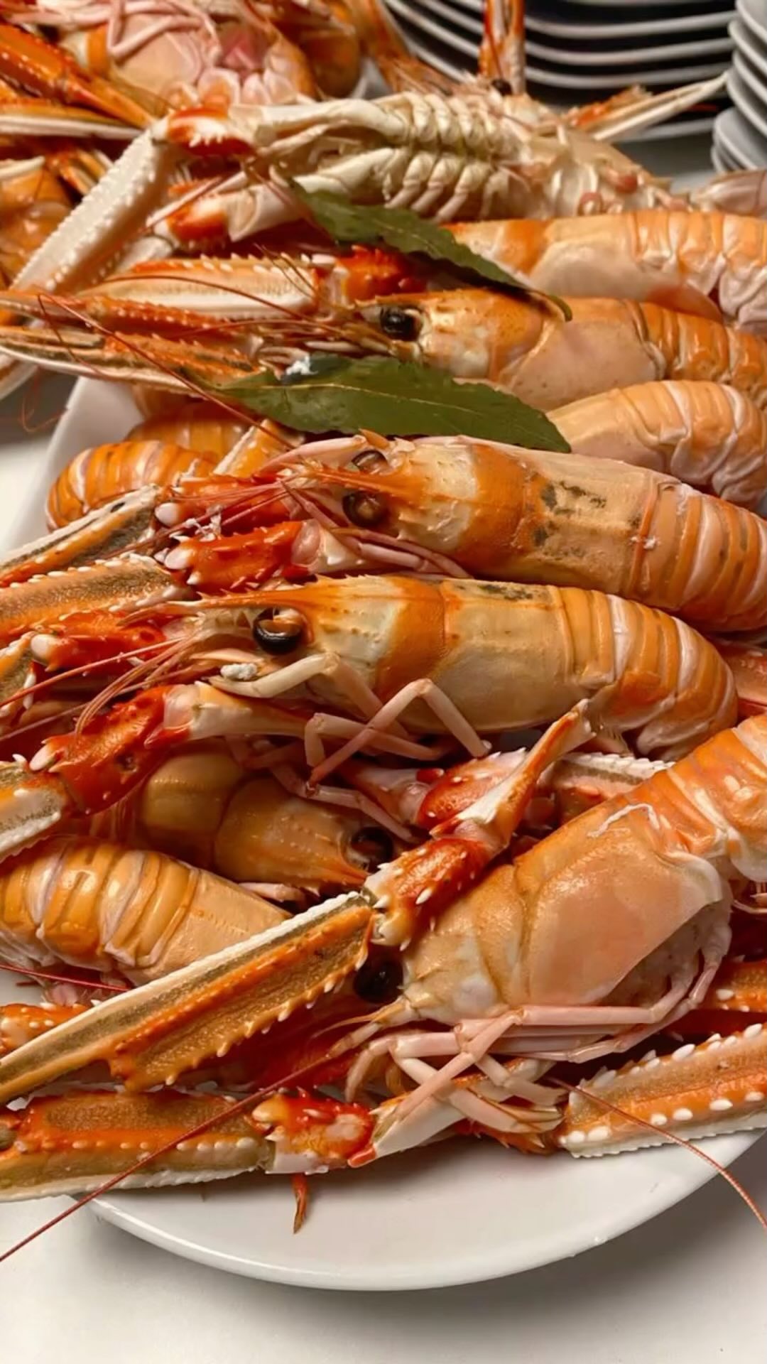 Jantar em restaurante bom é ótimo, mas comer na casa de amigos com pescados fresquissimos vindos da Galicia é outro nível!
Conversa boa, vinho bom e muita risada!
É disso que a gente gosta, não é @paulacatoi ?
#nextlevel #jantarentreamigos #celebrarsempre #petitcomite
#purodeleite
MesaComAfeto
#GastronomiaComElegância
#CozinhaAfetiva
#AltaGastronomia
#ComidaComHistória