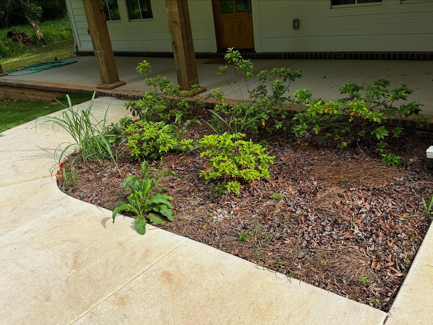 Before and after - mulch application