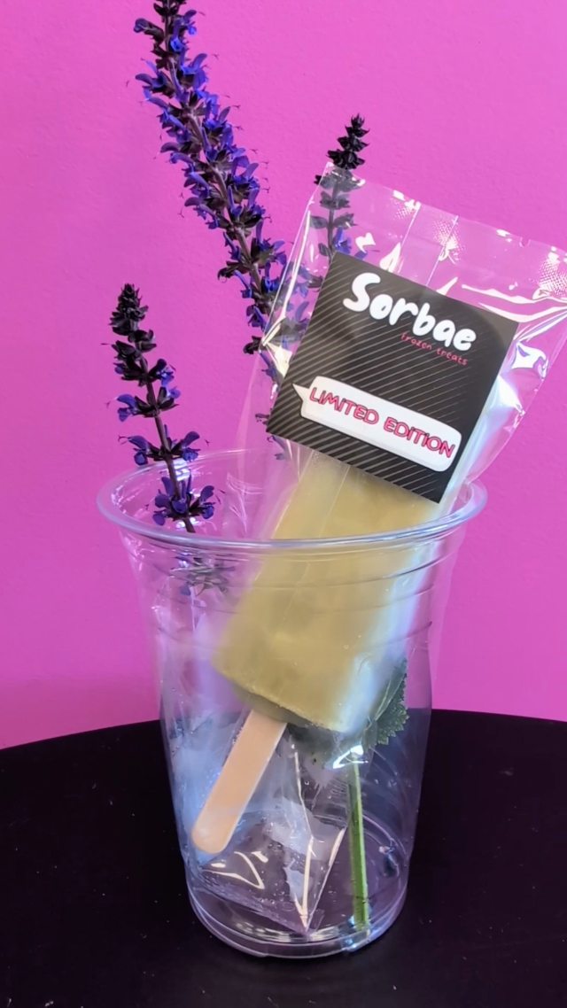 Zen with a side of sass 🍵🪻
Meet our June special! This one's got layers: bold matcha up front mellowed out with a smooth blend of almond and cashew milk, sweetened with maple syrup then finished with a hint of floral thanks to organic lavender syrup. It's giving 'cool headed dreamer with a sharp tongue' energy. 💁♀️
Debuting this Sunday June 1st at Pilates, Plants and Pops with @soil.andsun and @thepilatesplacenb
Tickets on sale at www.thepilatesplacenb.com
Aside from the event, shop for your new plant baby and build your own bouquet with @amandasblossombar from 10am-1pm
Our pop trailer is also open to the public from 10am-12pm
Come for the Pilates, stay for the plant powered cool down and a lil retail therapy
😉🌿🧘♀️
#newbedfordma #sorbaenbma #selfcaresunday #collab #forthegirlies #matchalover #plantlife #pilateslovers