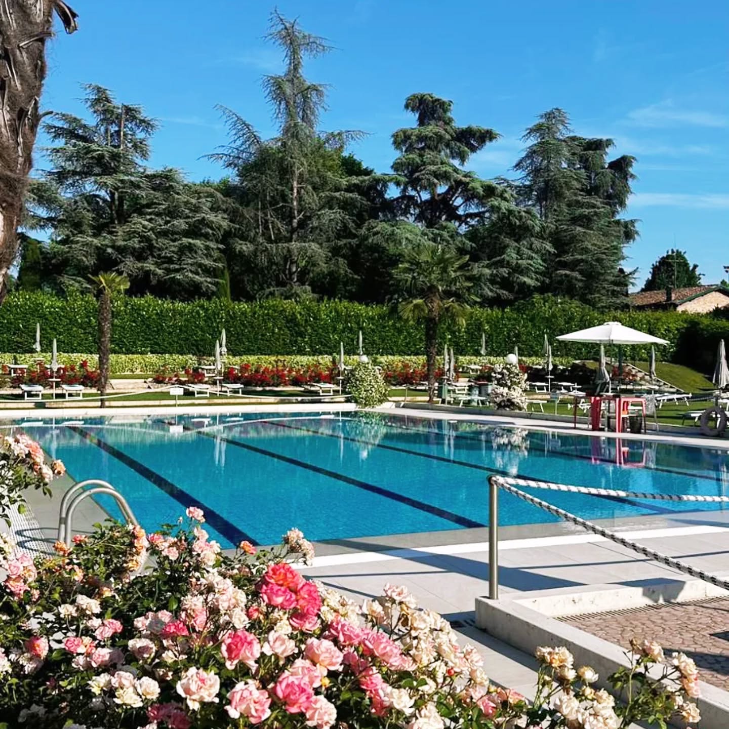 Un'anteprima della nostra piscina in tutto il suo splendore, che sta aspettando solo voi!
Inizia il countdown: manca pochissimo per tuffarci insieme nell’estate! SABATO 31 MAGGIO riapriamo ufficialmente la nostra piscina estiva 🤩
Organizza la tua estate alle #piscinegreenclub con l'abbonamento stagionale o mensile che potrai acquistare direttamente alle casse a partire da questo sabato.
Per il giornaliero, salta la fila acquistando il biglietto online al ns sito >>> LINK IN BIO.
#PiscinaEstate2025 #CountdownEstivo #AperturaPiscina #EstateInArrivo #TuffatiConNoi #estategreenclub #estateinpiscina
#piscinaamodena
#piscinaestiva