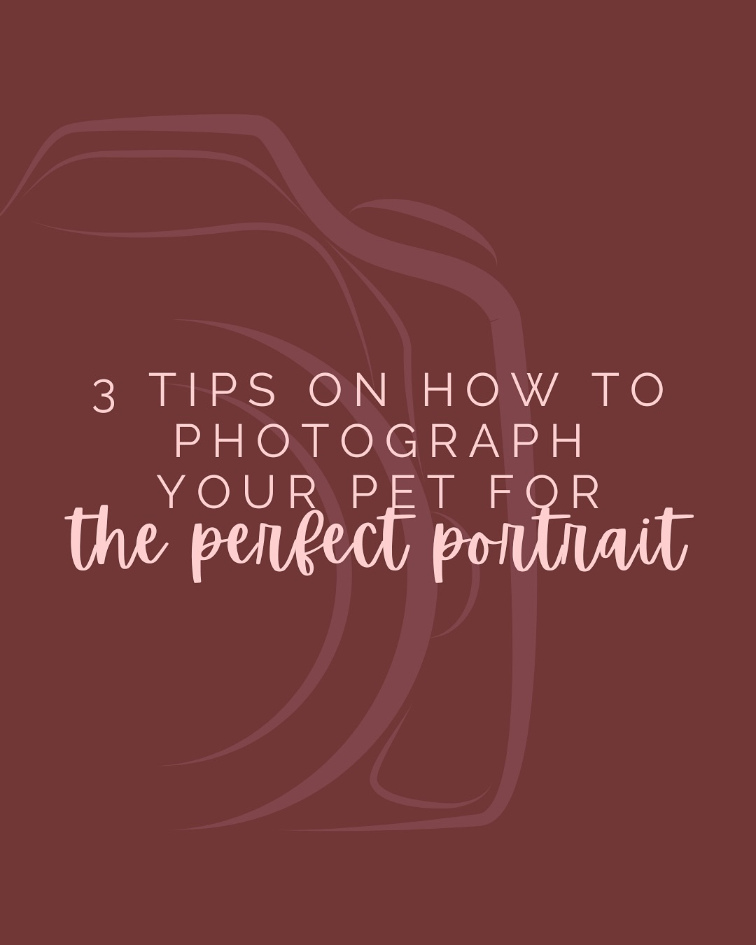 when you order a pet portrait from me, the picture(s) you submit matter! swipe for 3 tips on how to photograph your pet for the PERFECT portrait outcome ➡️ and don’t miss bad versus good photo examples in slides 5 and 6! 📷 🐶 🖼️
.
.
.
#PetPortrait #DogPortrait #CatPortrait #Etsy #EtsySeller #Illustrator #Illustration #Procreate
…
Pet Portrait | Dog Portrait | Cat Portrait | Gift Idea