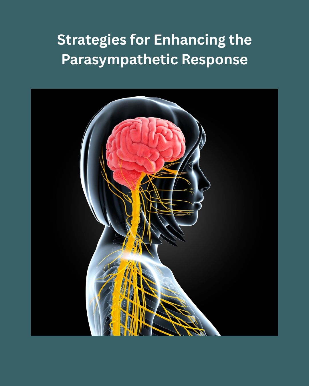 How to Purposefully Optimize the Parasympathetic
Meditation and hypnosis
Maintain a healthy microbiome with:
Balanced diet
Adequate sleep
Avoiding antibiotics
Acupuncture
Diet tips: High-fat intake Sufficient choline Rich in polyphenols
Use targeted synbiotics (probiotics and prebiotics)
Practice appropriate fasting and suitable exercise
Engage in yoga, Tai Chi Chuan, and shared experiences
Mindful breathing: Slow, nasal breathing with longer exhalations, avoid mouth breathing
Reduce cortisol and boost oxytocin by: smiling, laughing, spending time with pets, hugging, enjoying good sex, singing, and relaxing hobbies
Gratitude journaling (5-10 minutes) focusing on emotionally engaging memories
Be mindful of thought patterns that signal safety and support
Ensure daily intake of "other vitamins," including Vitamin J for JOY.
In this sympathetic dominant world we live in functional nutrition counselors can help guide you and hold you accountable to yourself to ensure you are doing all you can to manage your mental health.