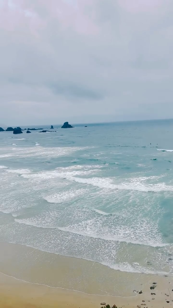 We have yet to meet a Cannon Beach area hike we didn’t love, and Clatsop Loop Trail at Ecola State Park is no exception. At just under 3 miles and about 800 ft of elevation, it offers serious payoff for modest investment. It’s one of those rare PNW hikes that’s as stunning in the rain as the sun (plus, it’s wayyy more Goonies when it’s overcast). All the details (including coffee & post hike bites) coming to thefuturewild.com soon!
Happy hiking!
Xx
The future, wild
.
.
.
.
.
.
#pnw #pnwhiking #pnwonderdogs #pnwlife #hiking #oregon #oregoncoast #oregonexplored #hikeoregon #pnwonderland #hikingwithkids #hikingwithdogs #getoutsideandplay #explore #adventure #escapetheordinary #thefuturewild