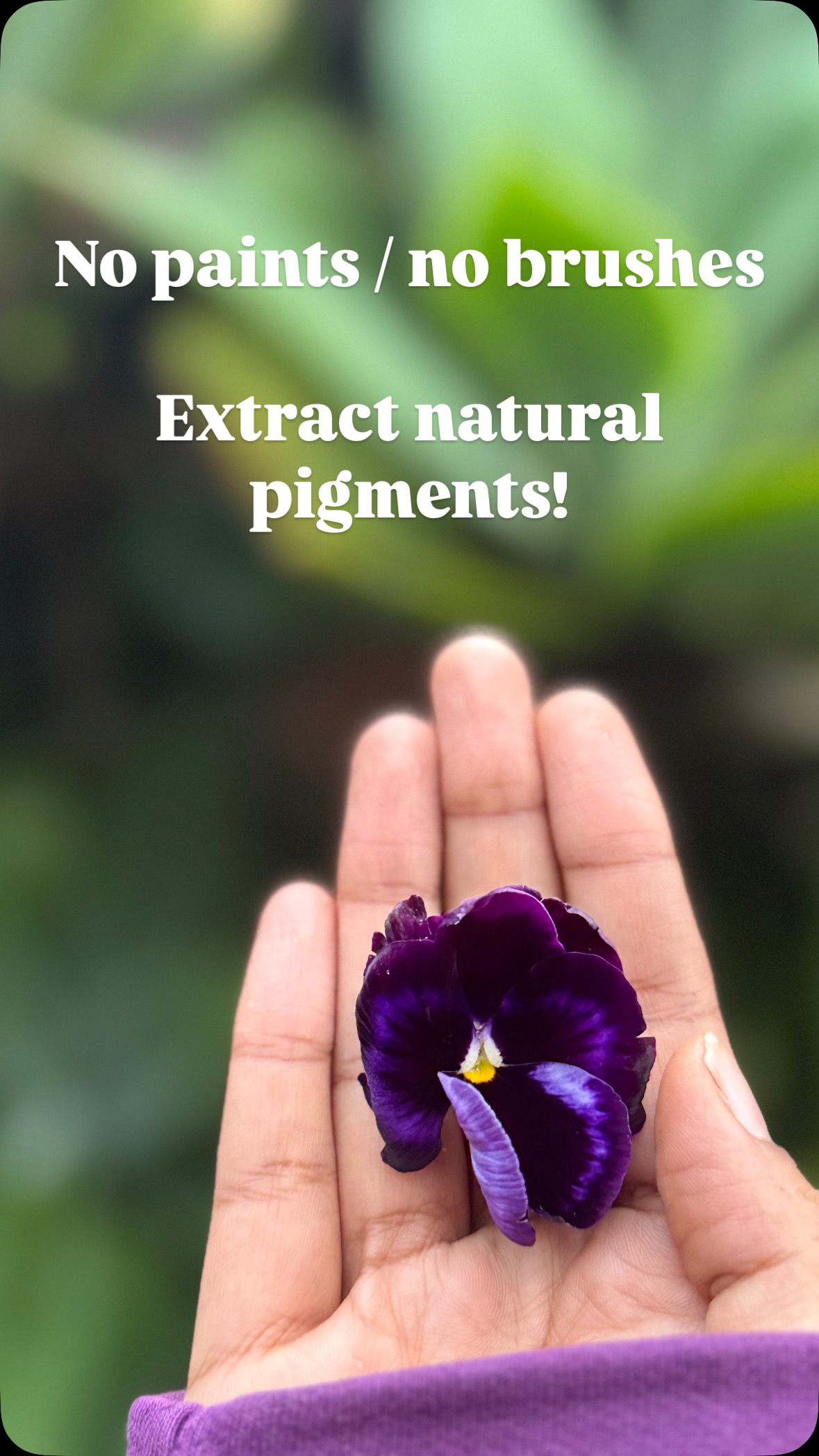 Summer holidays in the hills?
Looking for a mindful, screen-free way to keep your kids (or yourself) occupied?
Here’s your perfect nature-inspired DIY!Turn blooms into beautiful prints with just a few simple steps.
✂️ Steps to release natural pigments from 🪻
1. Pick flat, colorful flowers — pansies, phlox, cosmos work beautifully.
2. Lay them face down on paper and cover with a paper towel to absorb moisture.
3. Hammer gently (don’t shift it!) until you see the flower’s outline appear.
4. Let it dry, then carefully peel off the flower.
5. Et voilà! Nature leaves its mark.
#NatureCrafts #PressedFlowerArt #SummerDIY #PetalPrints #EcoFriendlyCraft #HillStationHobbies #ArtFromNature #SmashArt #SlowArt #MindfulCrafts #floralimprints