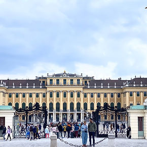 Scopri Vienna oltre i cancelli dorati oggi!
Hai già vissuto il nostro free tour? Immagina di entrare nei saloni storici di Schonbrunn o Hofburg, dove ogni dettaglio racconta segreti imperiali.
Solo per chi ha partecipato al free tour: sconto esclusivo sulle nostre visite guidate a pagamento! Prenota ora e trasforma la tua esperienza viennese in un viaggio indimenticabile. ✨
Info e prenotazioni su www.viennacosavedere.com 📲